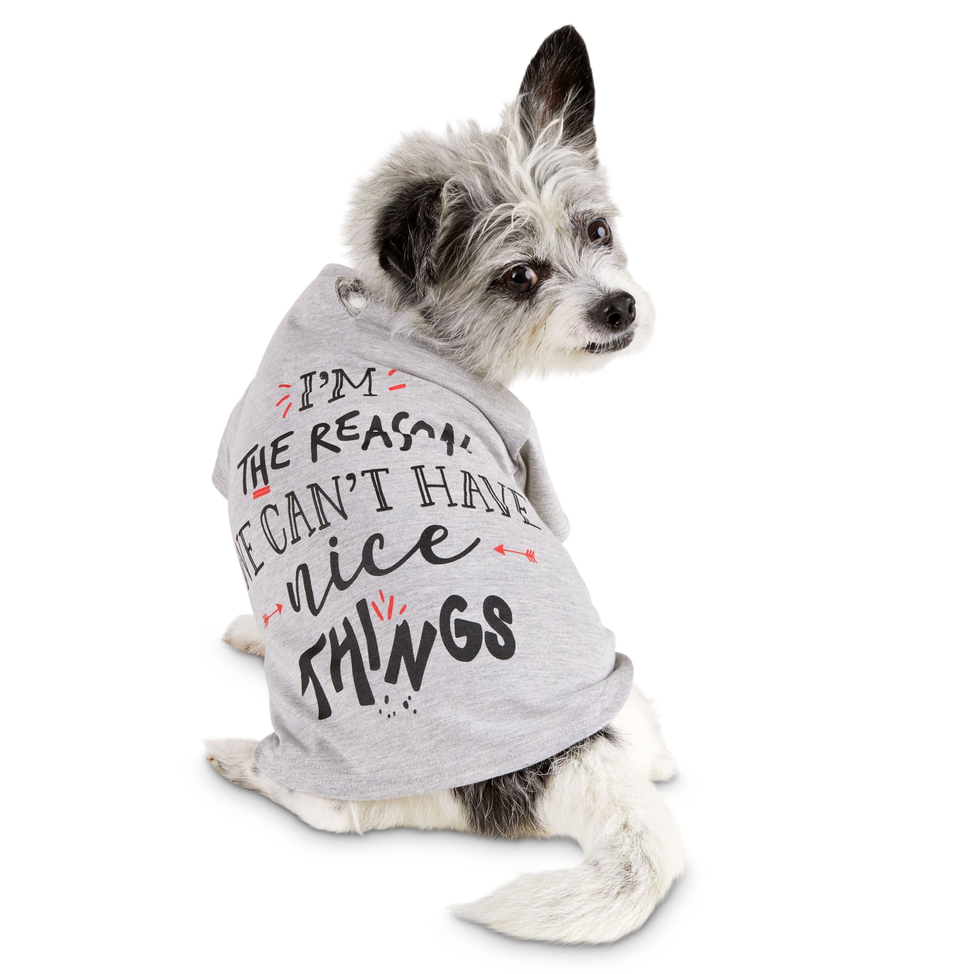 be nice to dogs shirt