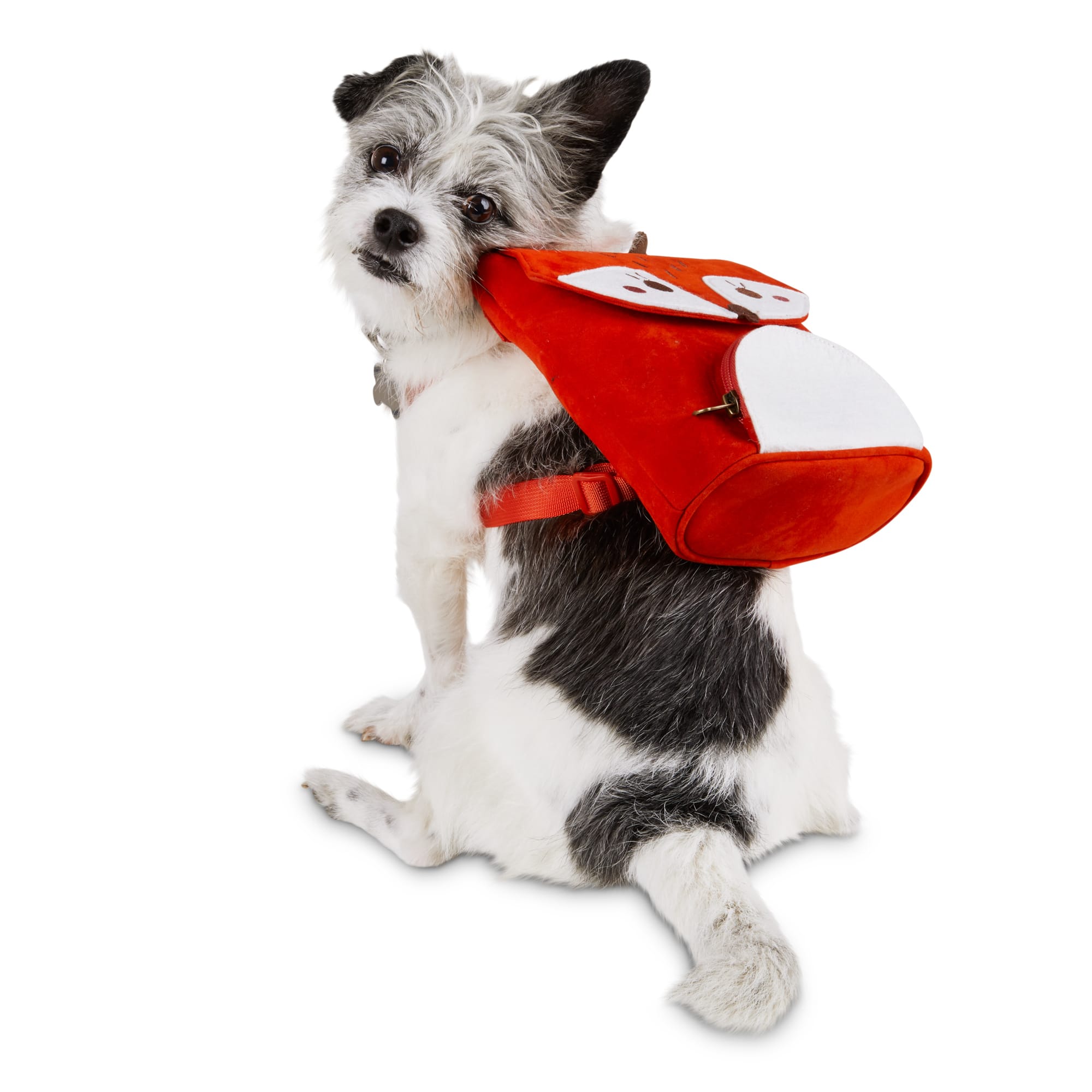 x small dog backpack