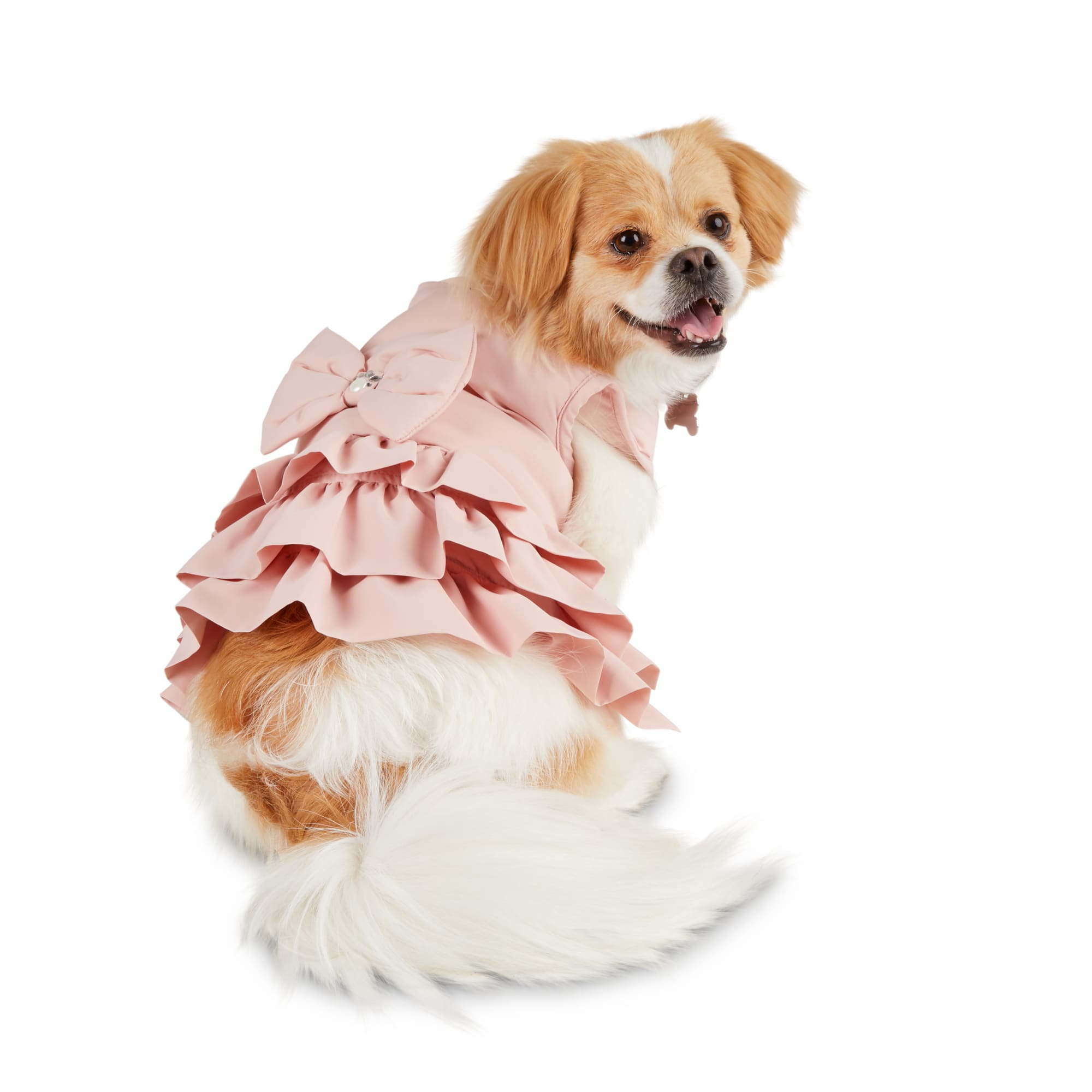 bond & co pet apparel