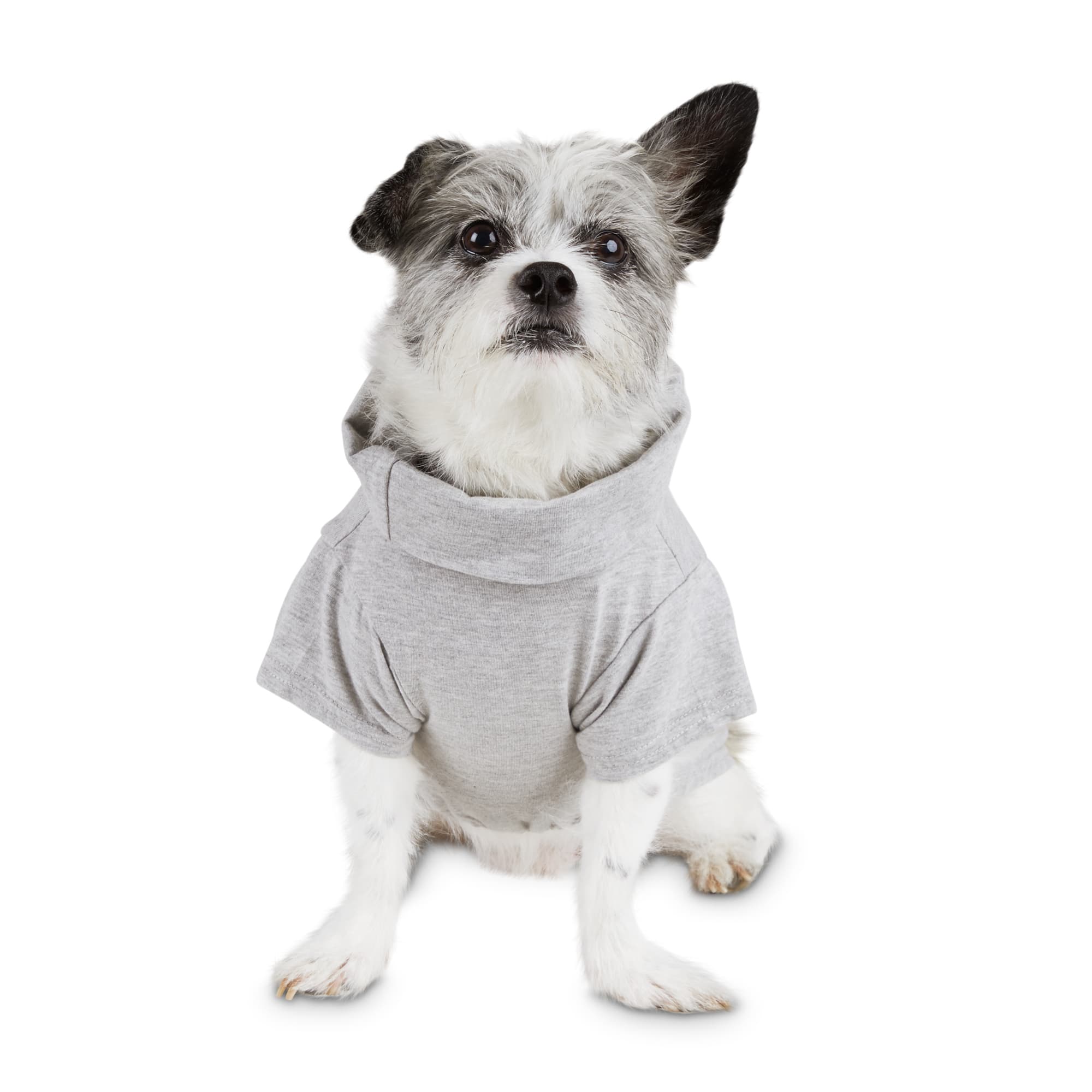 Bond co best sale dog clothes