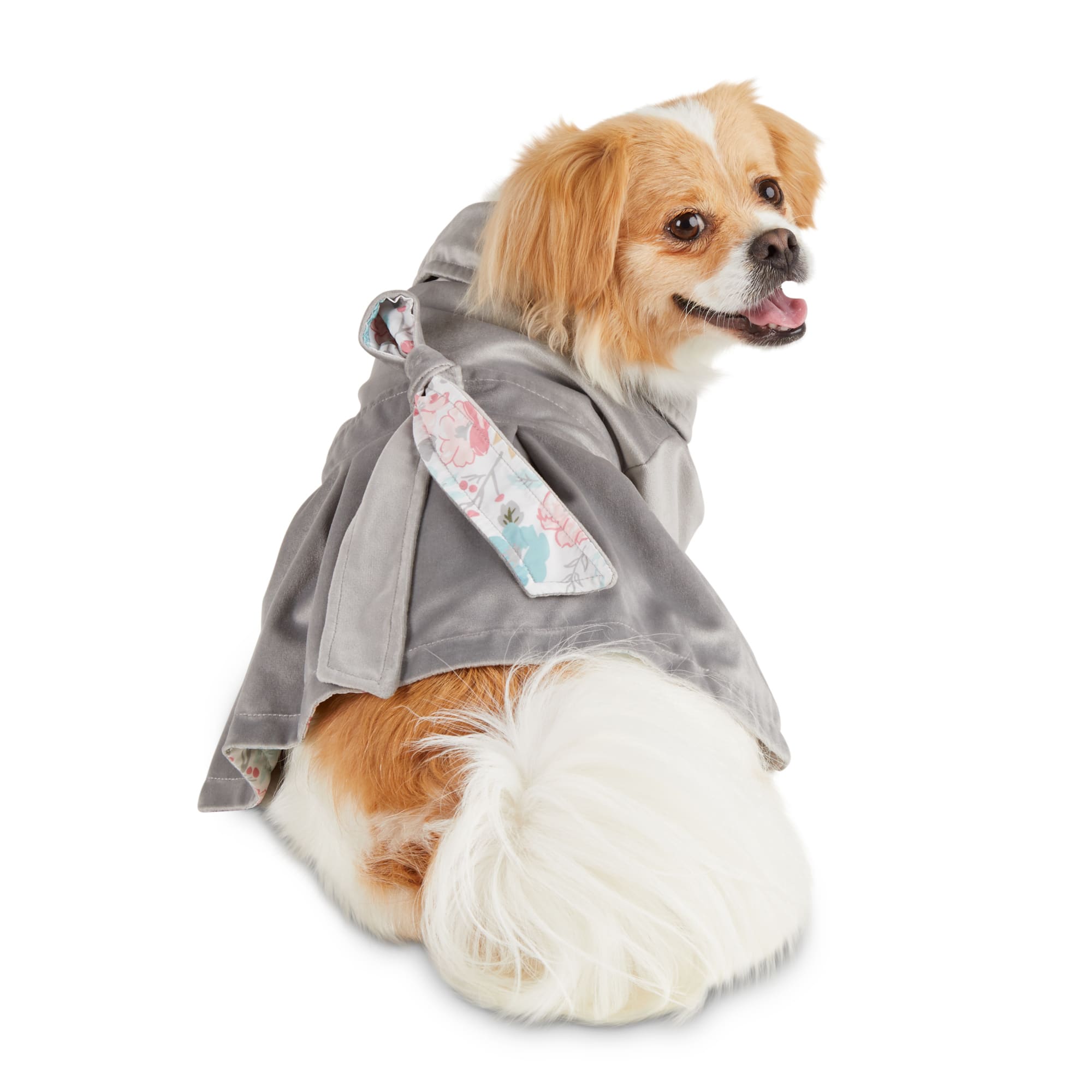 x small dog coat