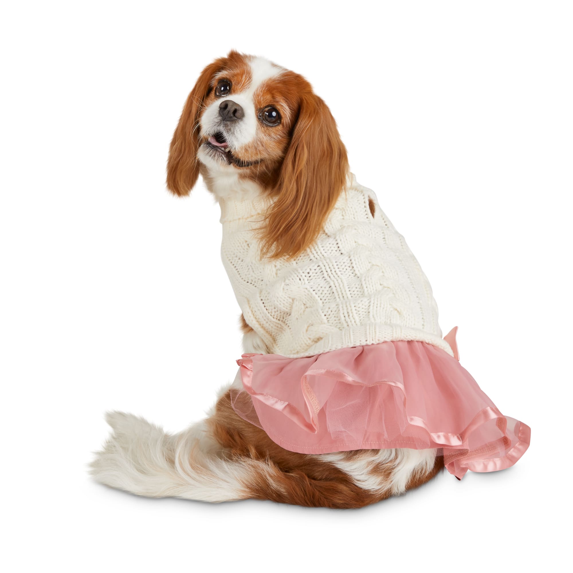 dog holiday dresses
