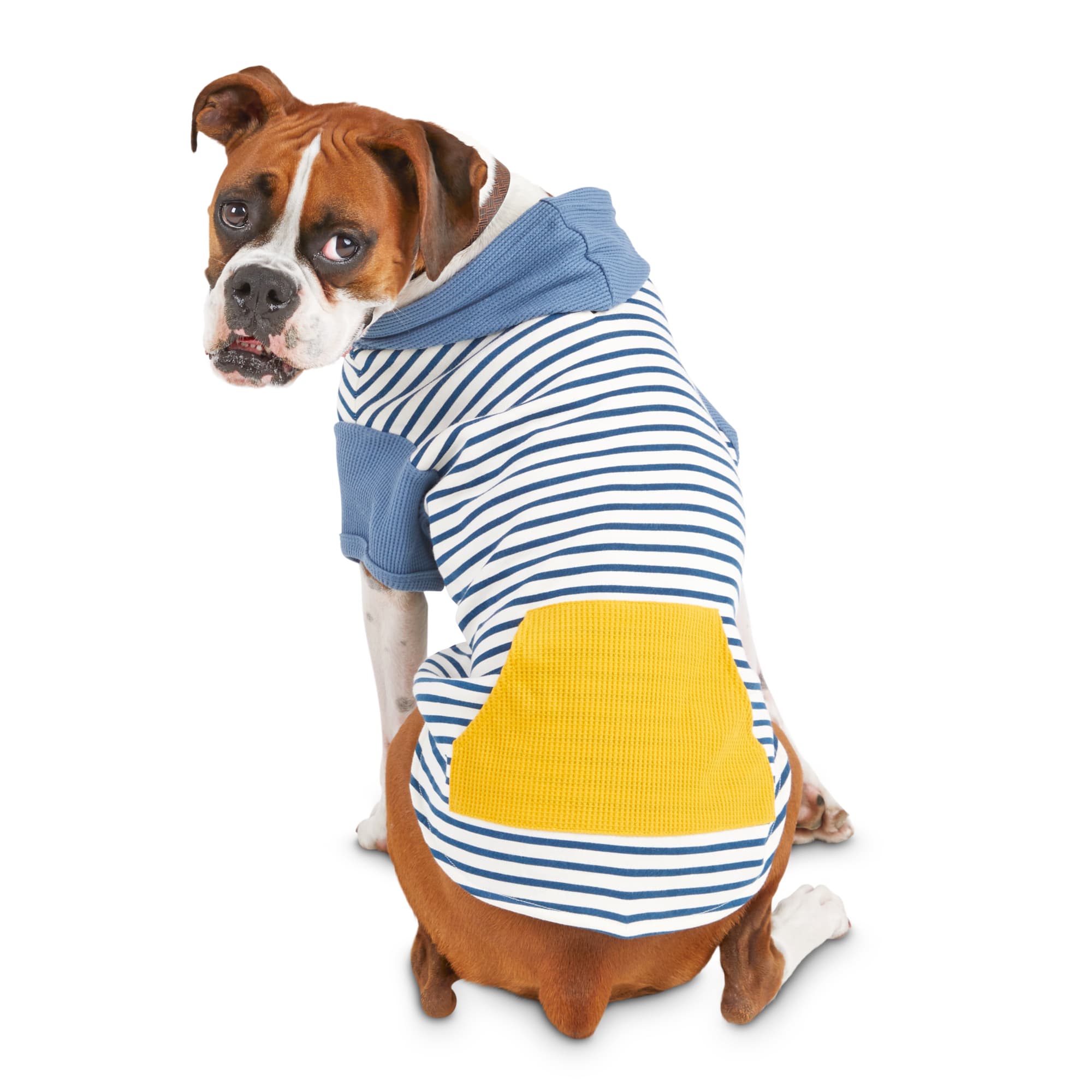 dog pocket hoodie