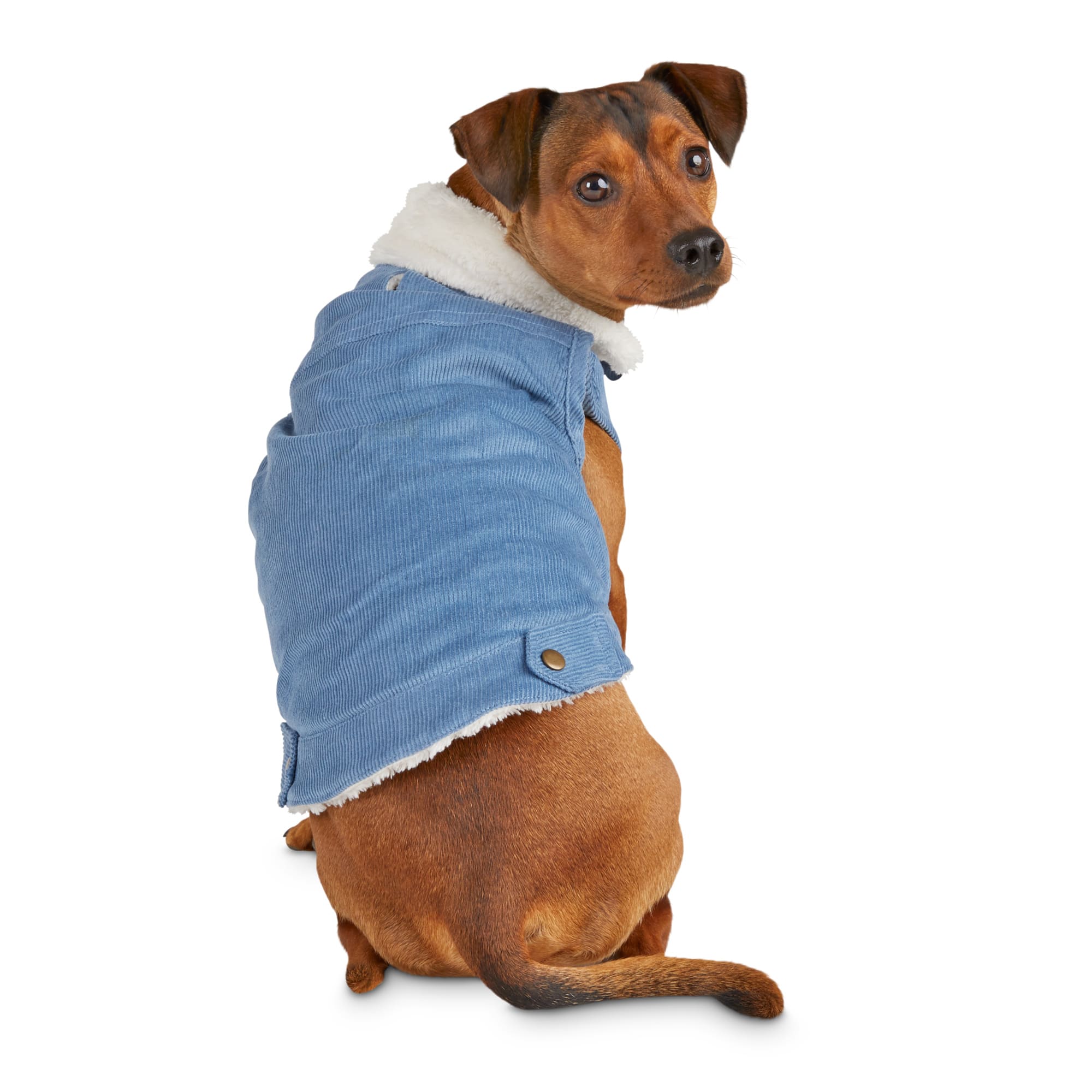 petco dog jacket