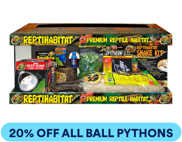 20% OFF ALL BALL PYTHONS