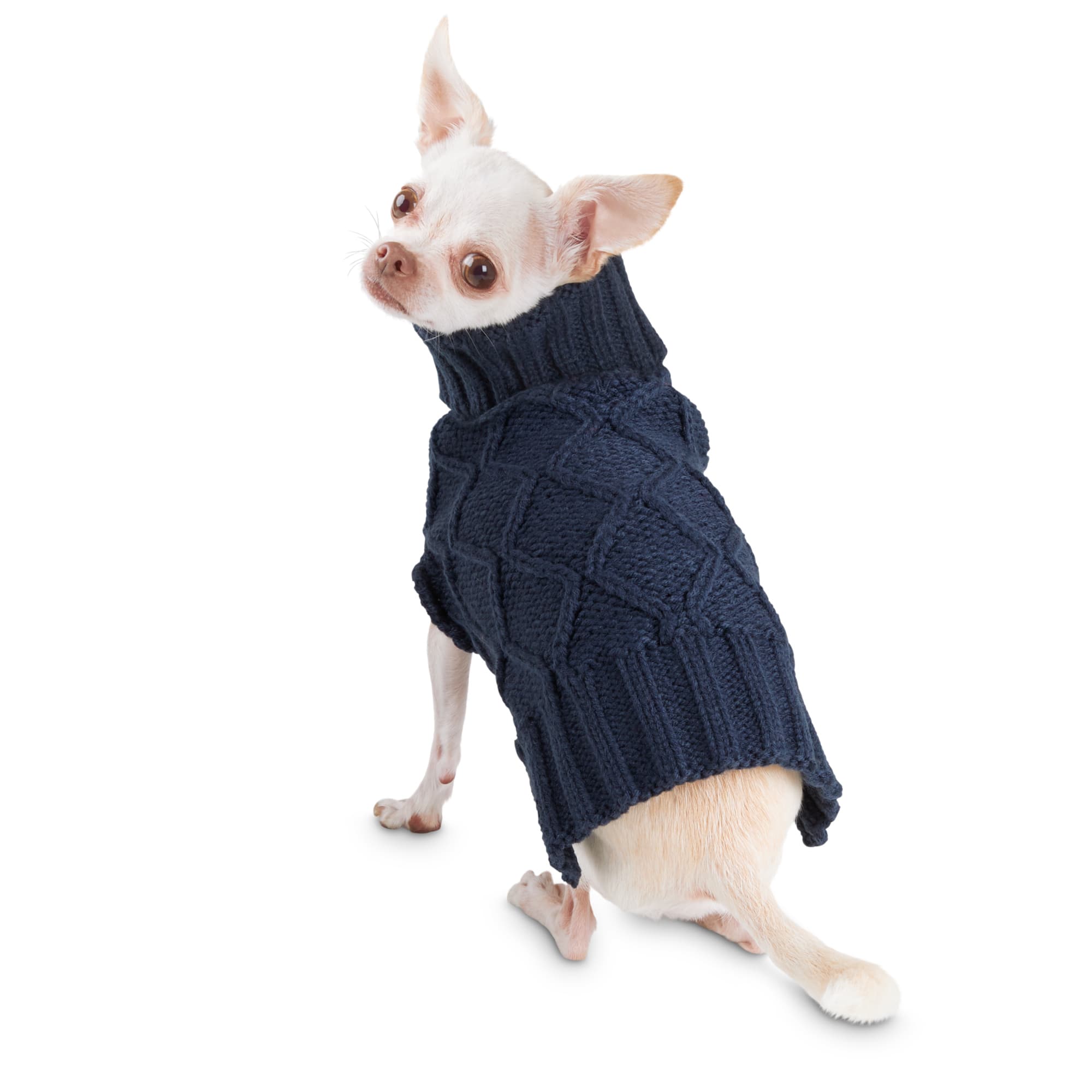 navy dog sweater