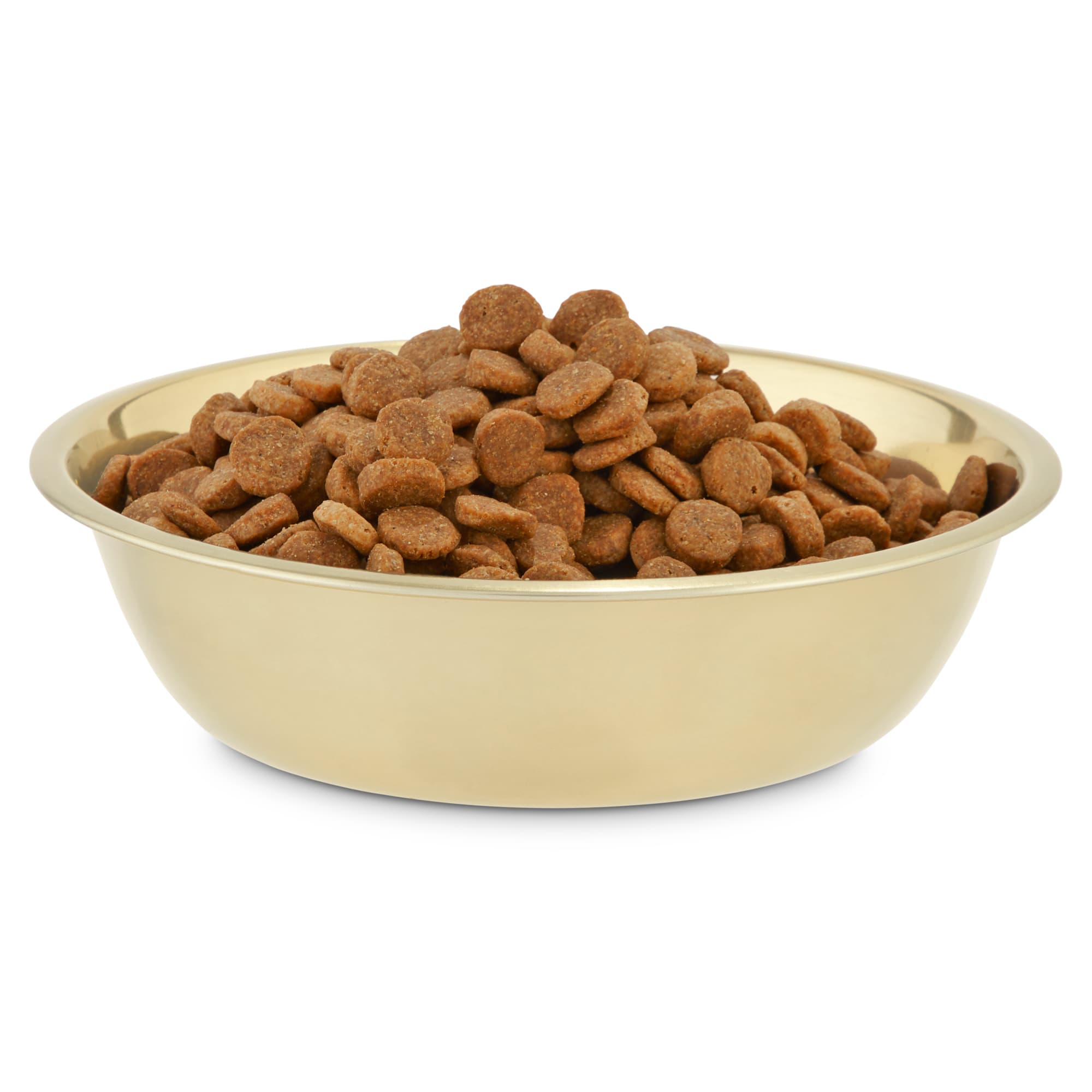 Deluxe Gold Pet Bowl – Off the Chain