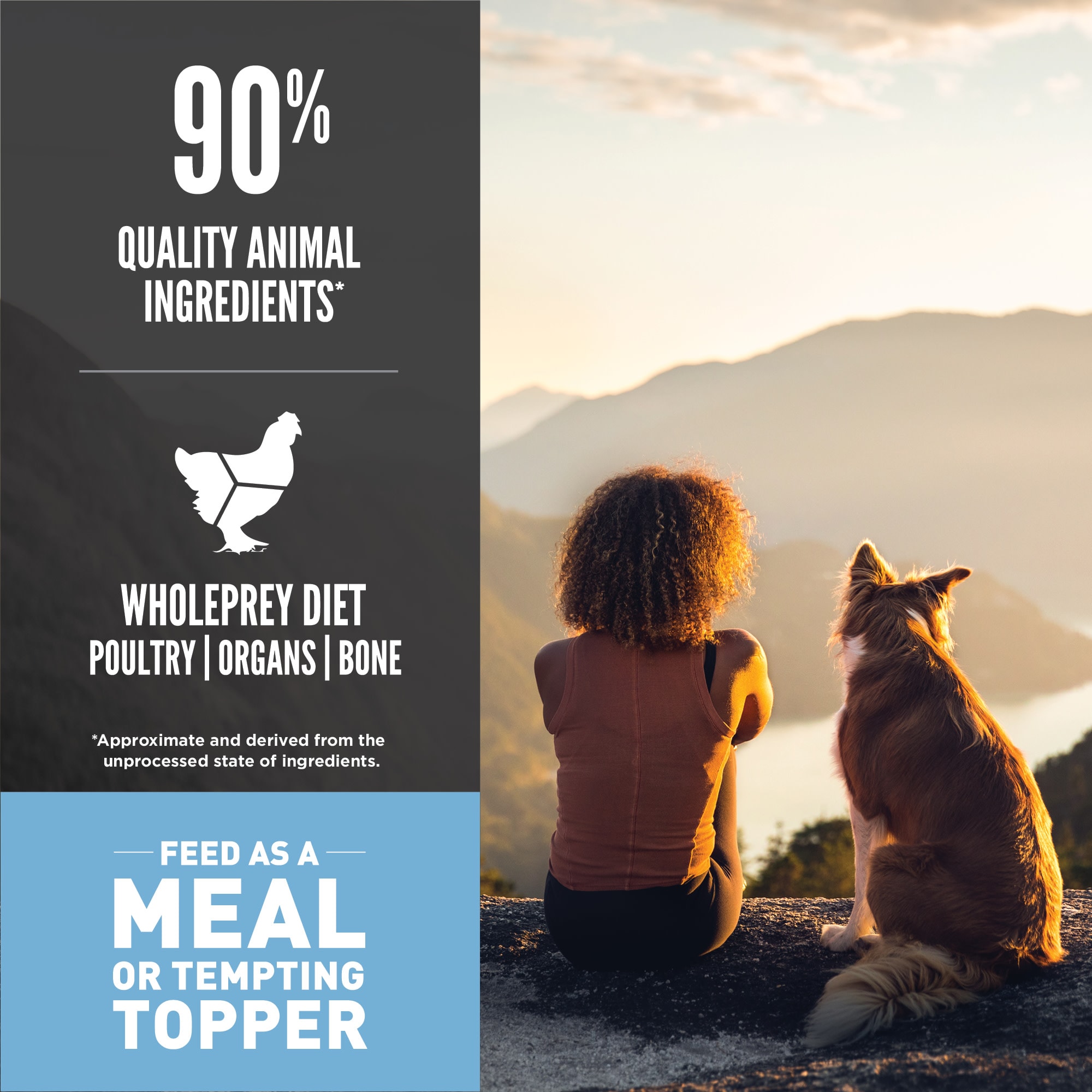 indoor wet cat food Grain Free Salmon Recipe Pâté Indoor Adult Wet Cat Food, 5.5 oz can (c main image 1