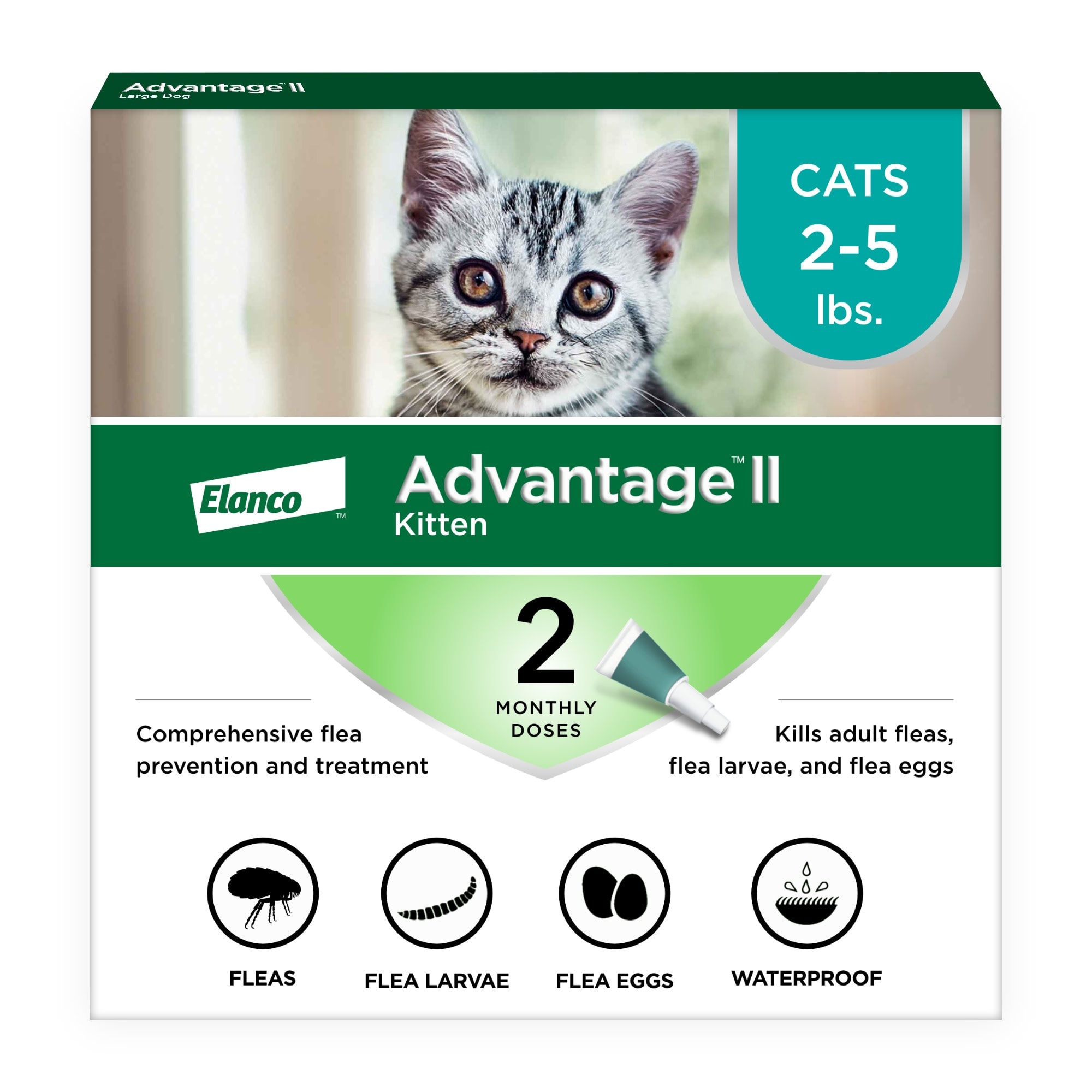 Best at home flea treatment for cats best sale