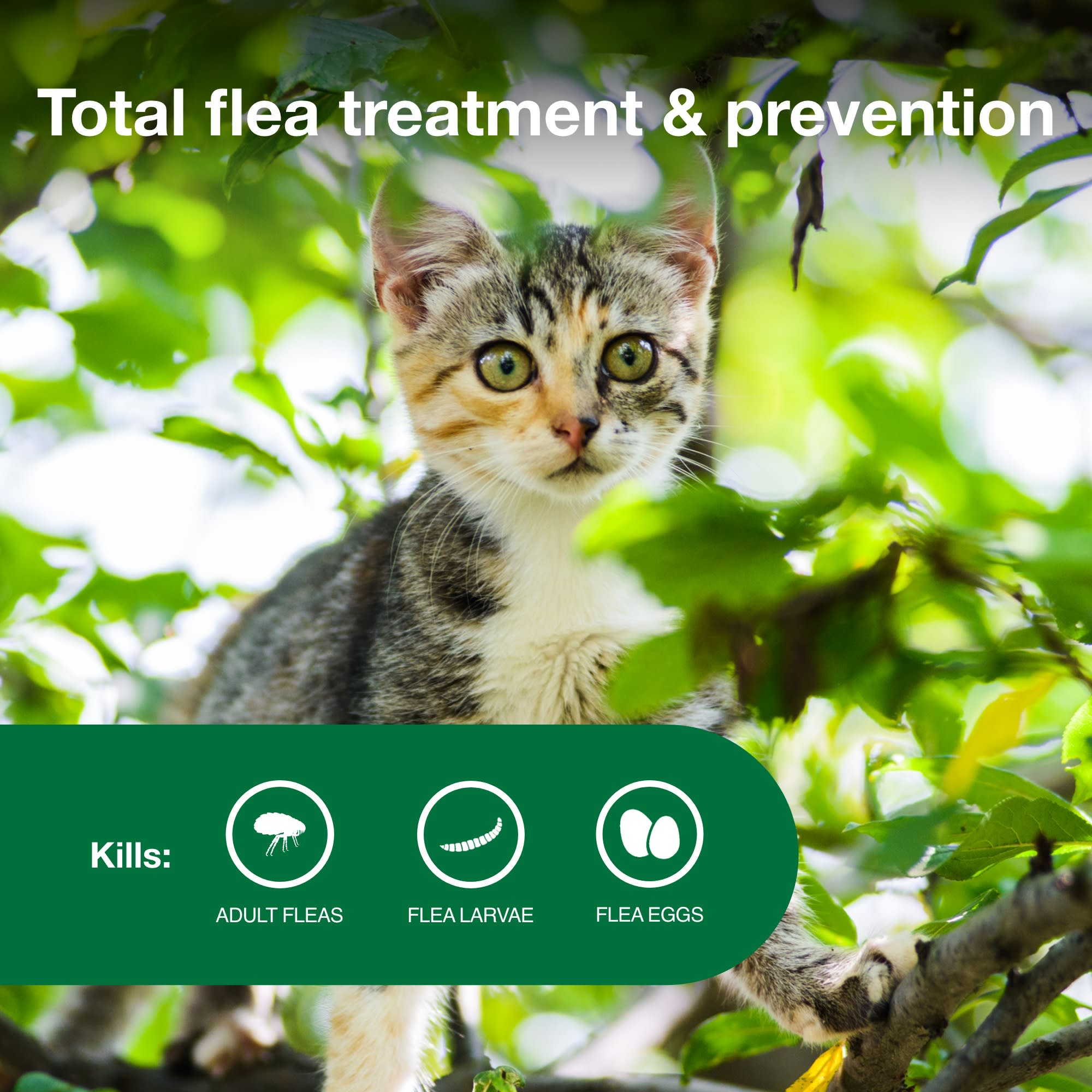 Petco kitten flea outlet treatment