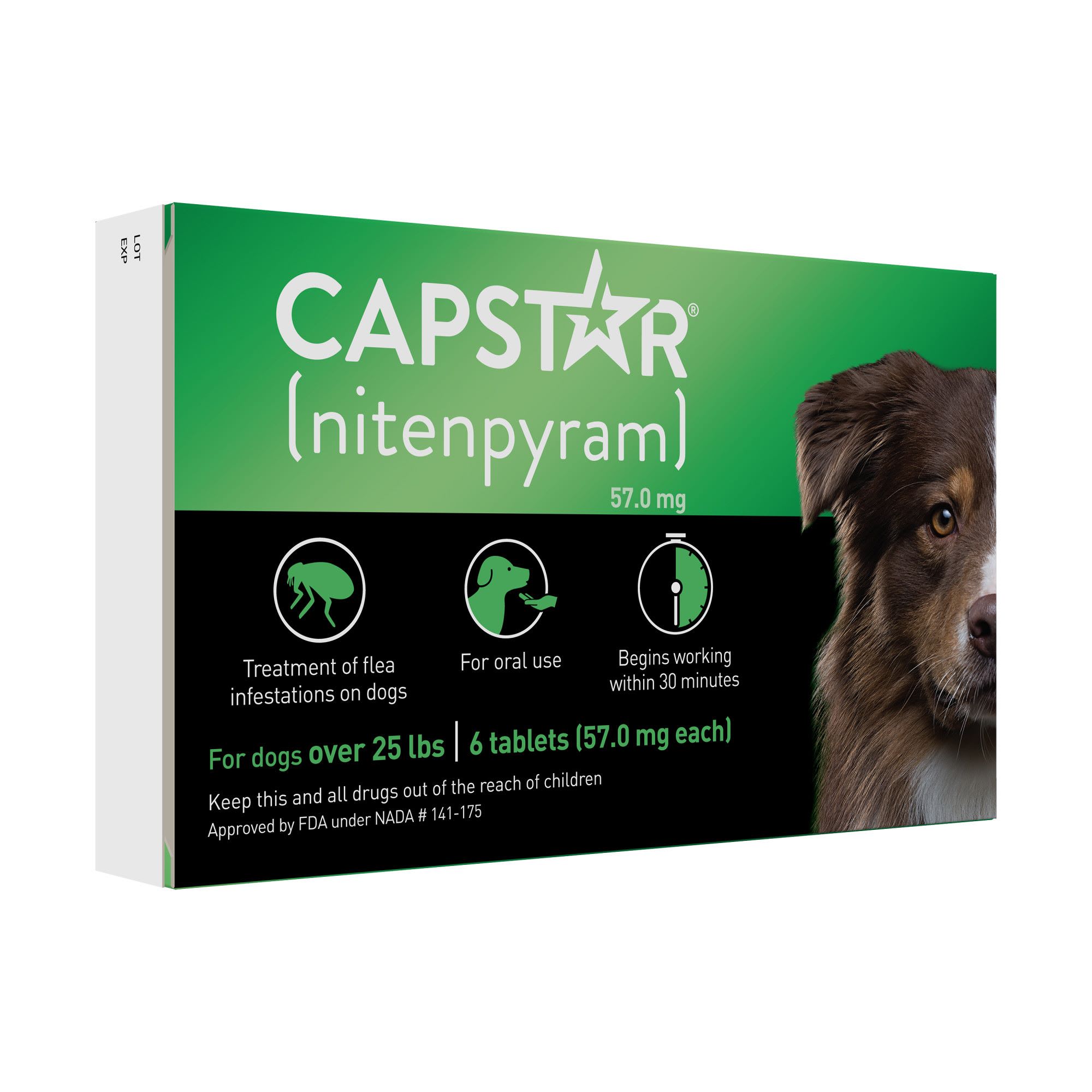 Capstar with sale frontline