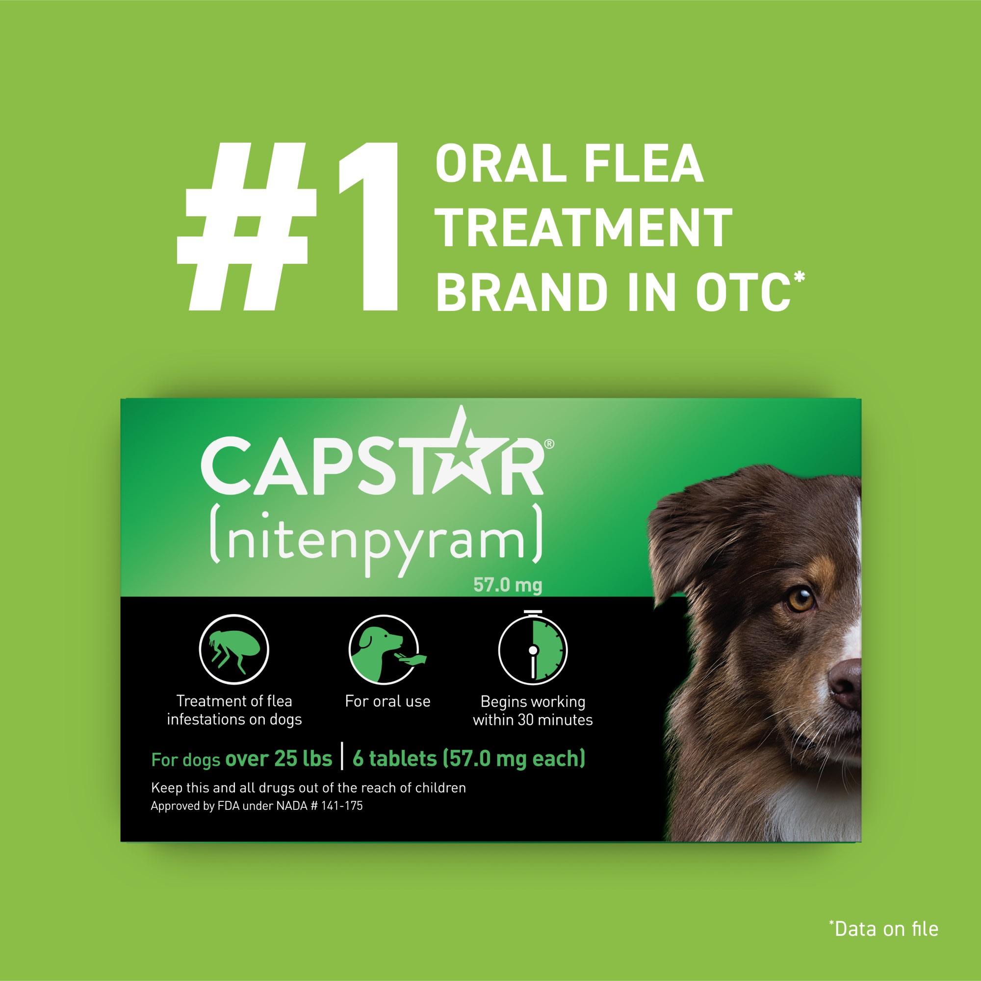 Capstar Flea Tablets for Dogs over 25 lbs. Count of 6 Petco