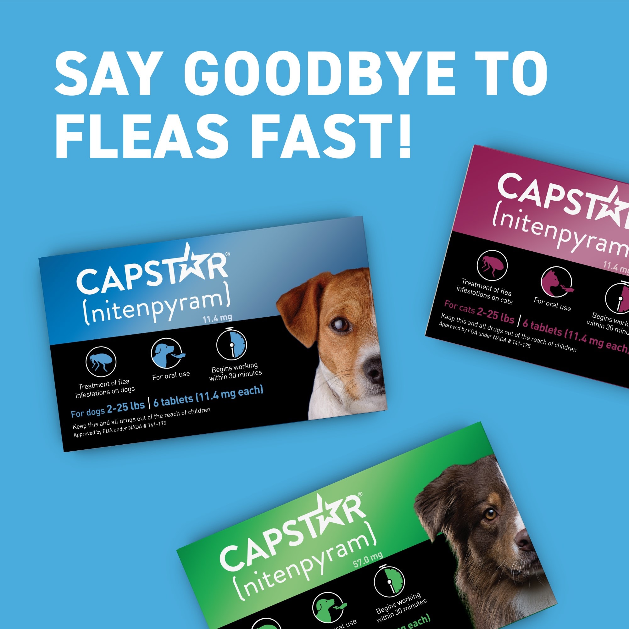 Capstar petco 2025