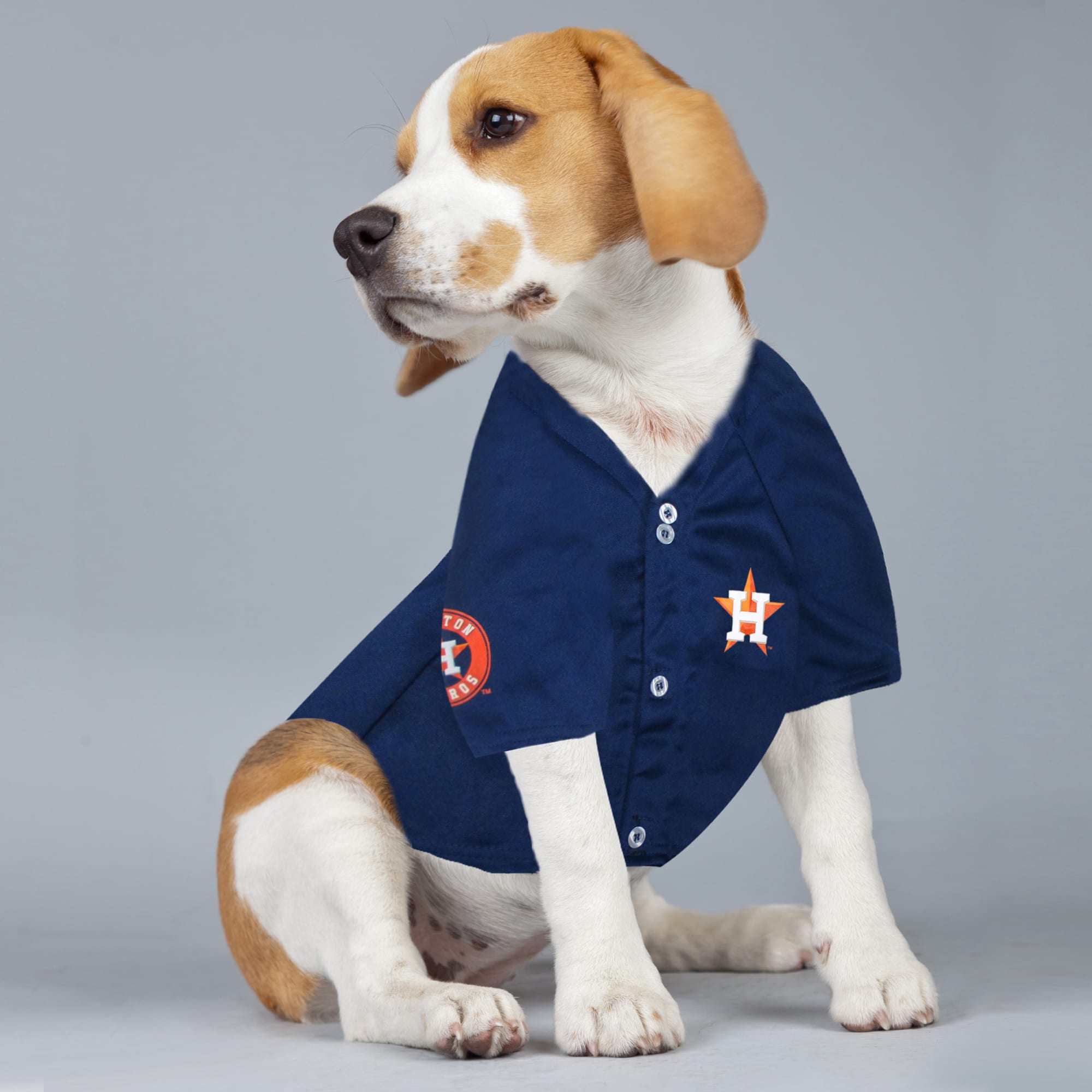 houston astros dog gear, Off 79%