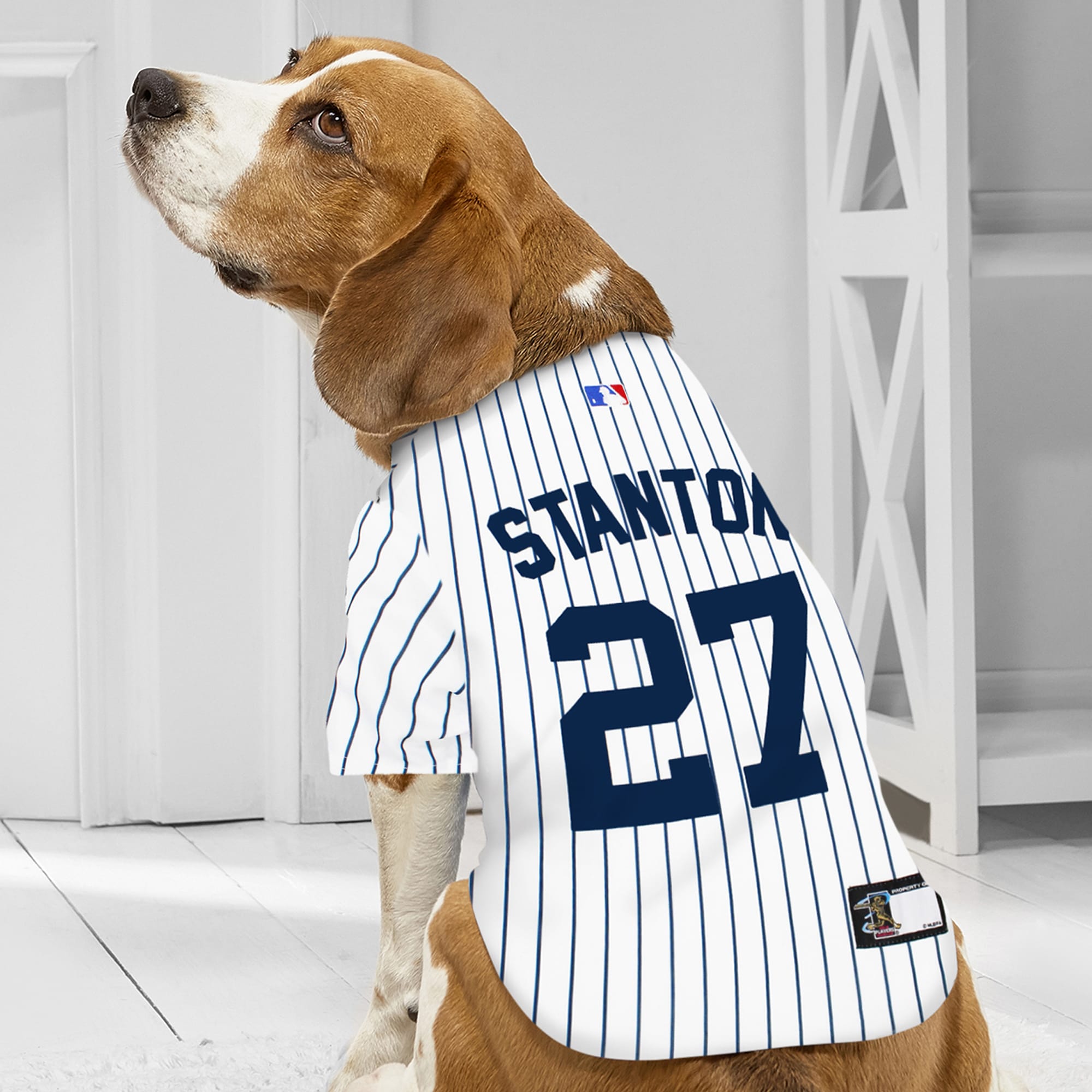 Pets First New York Yankees Throwback Small Dog Jersey | Petco