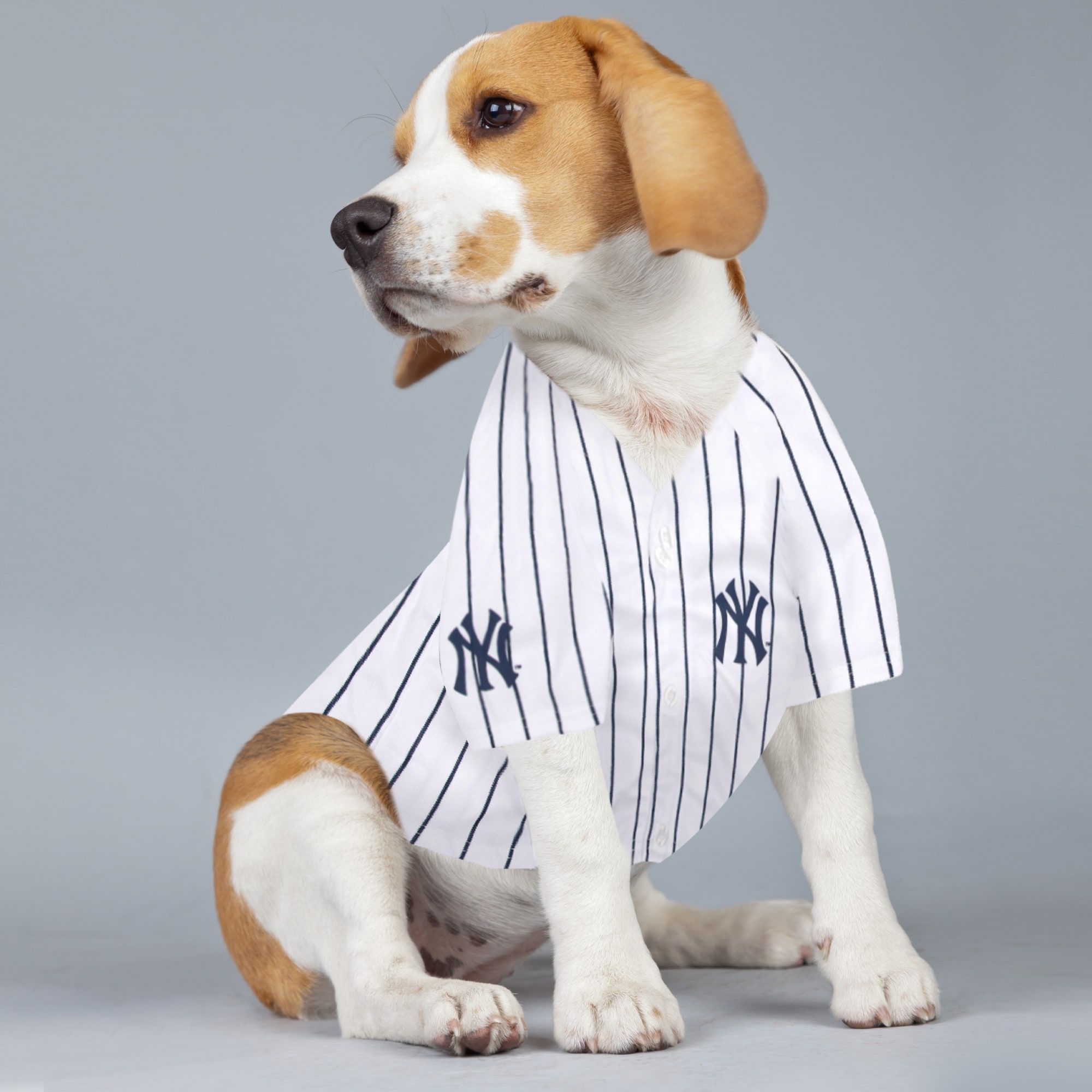 Yankees cheap dog shirt