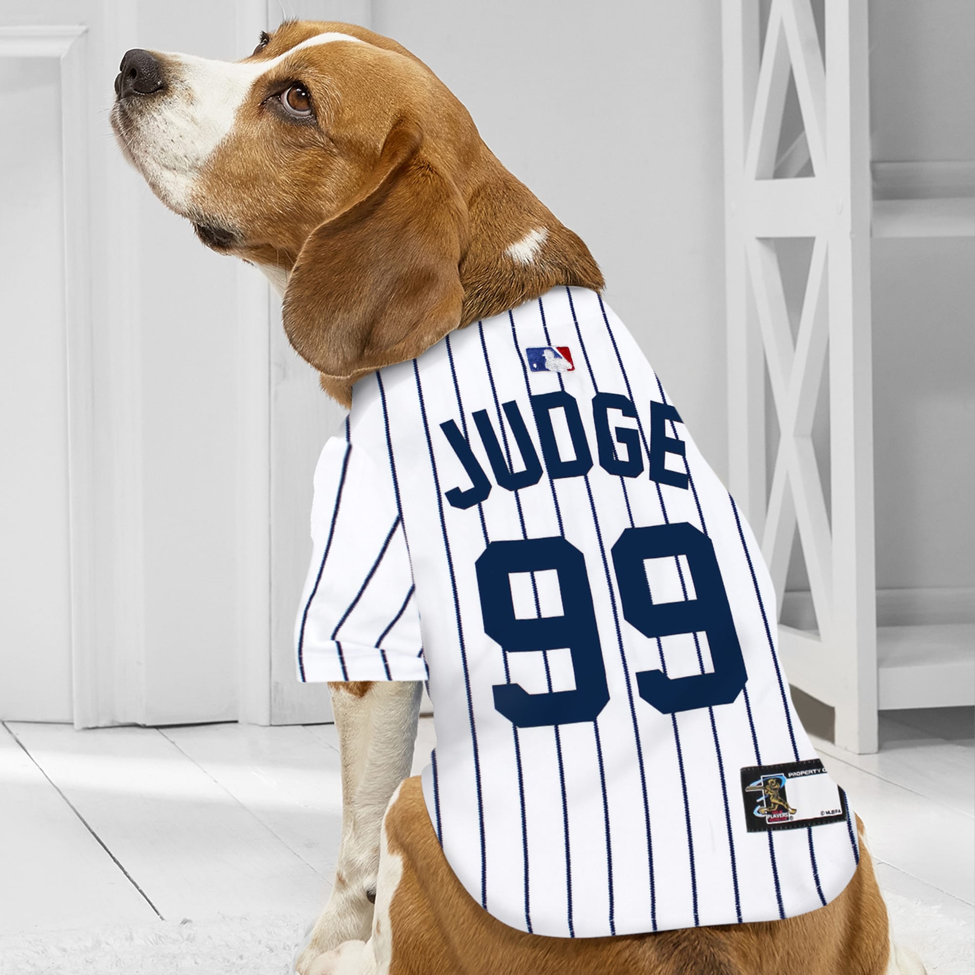 New york yankees outlet dog jersey