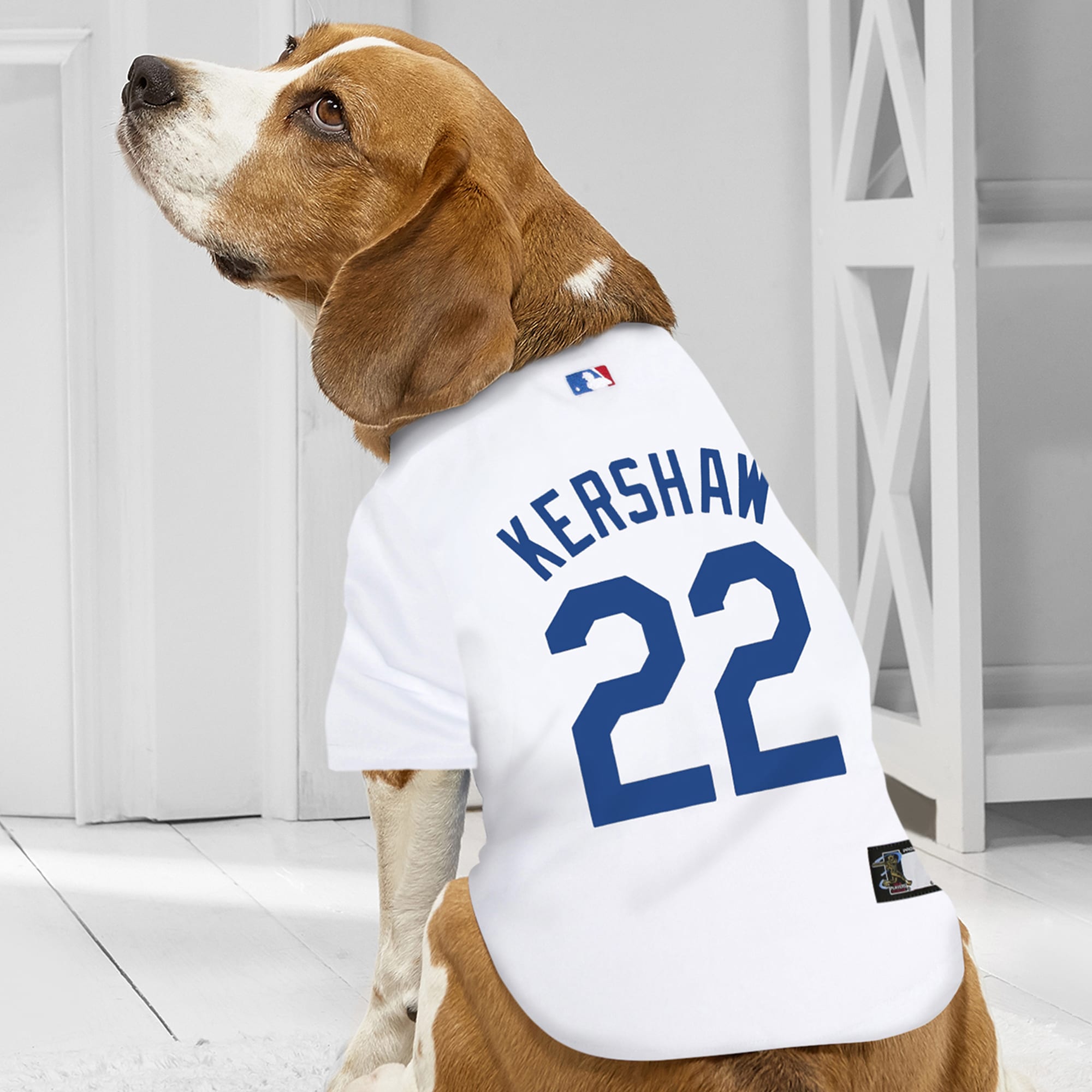 Dodger gear for outlet dogs