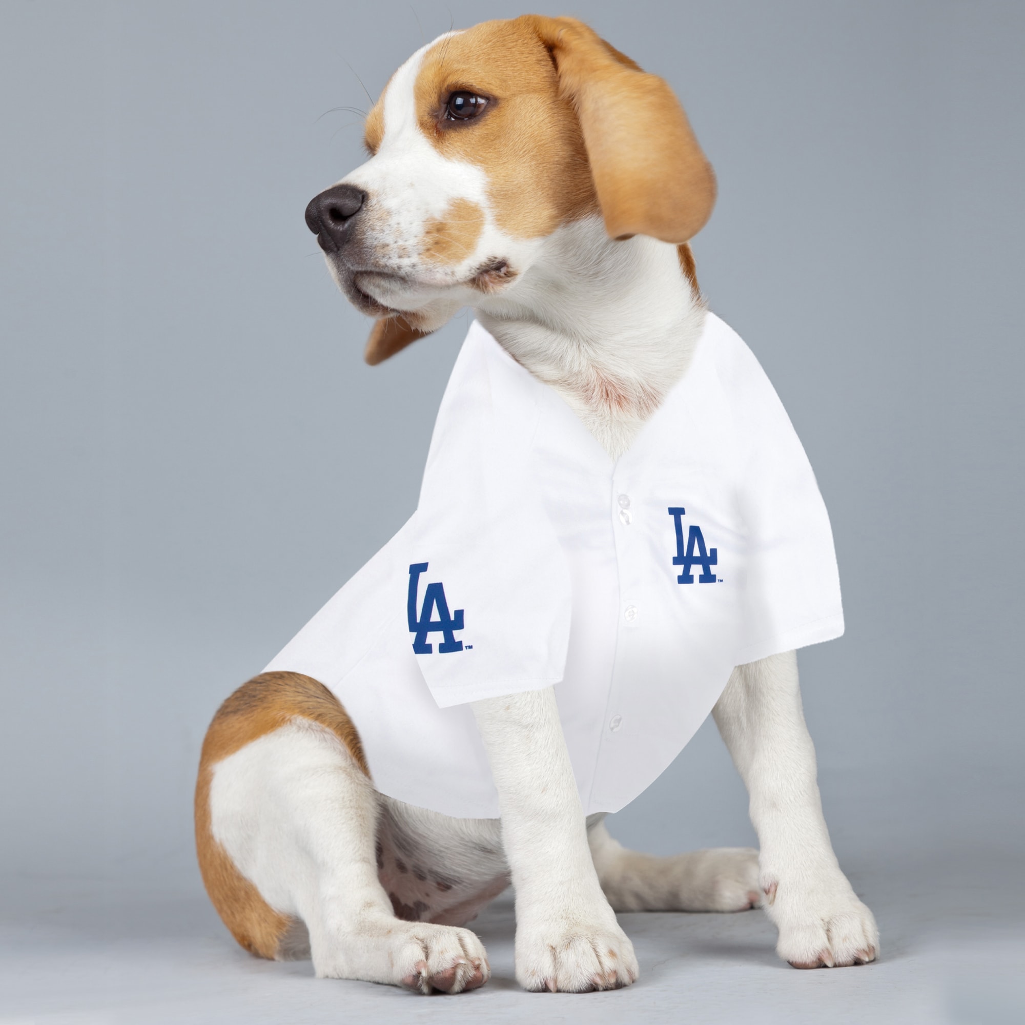 Dodger on sale dog sweater