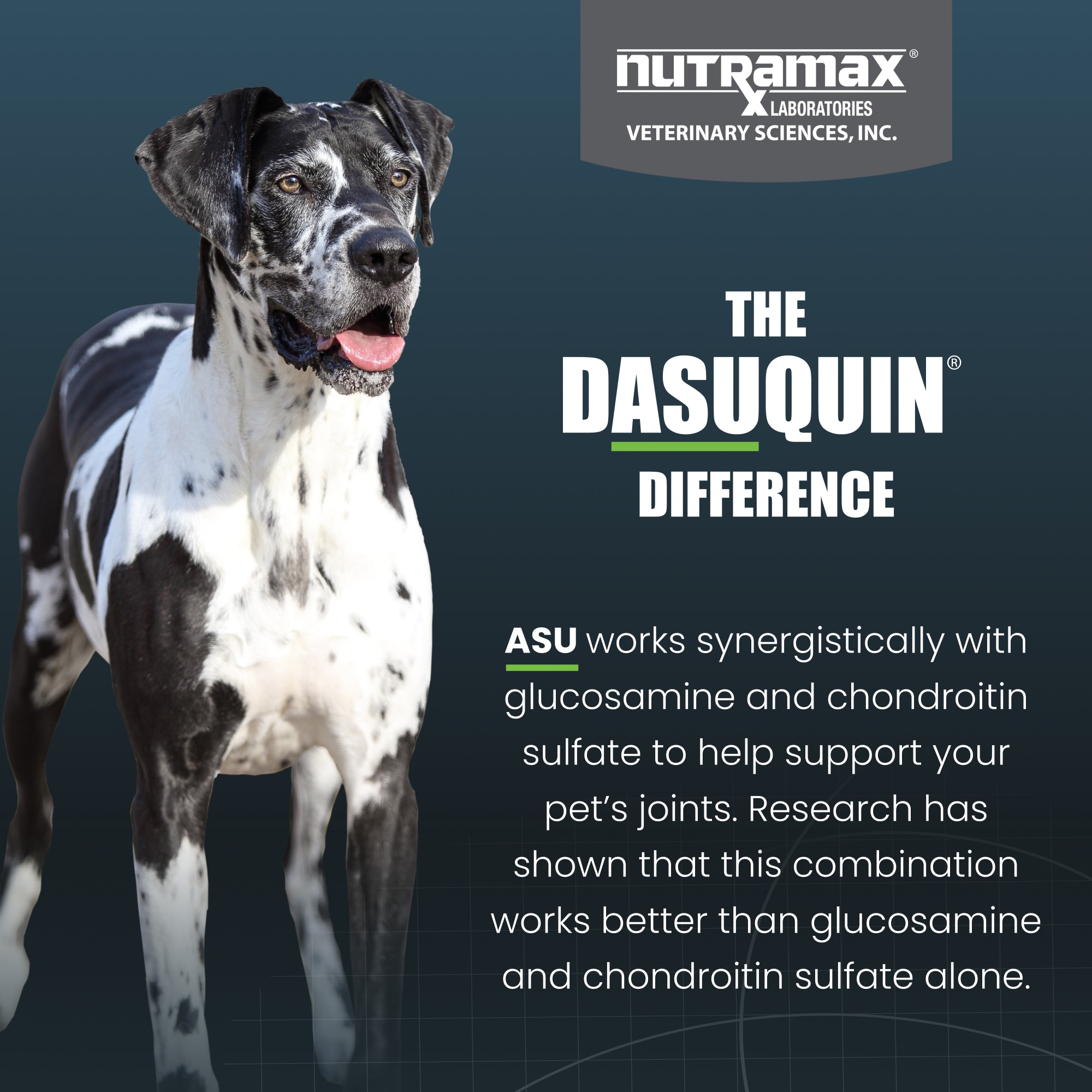 Dasuquin petco best sale