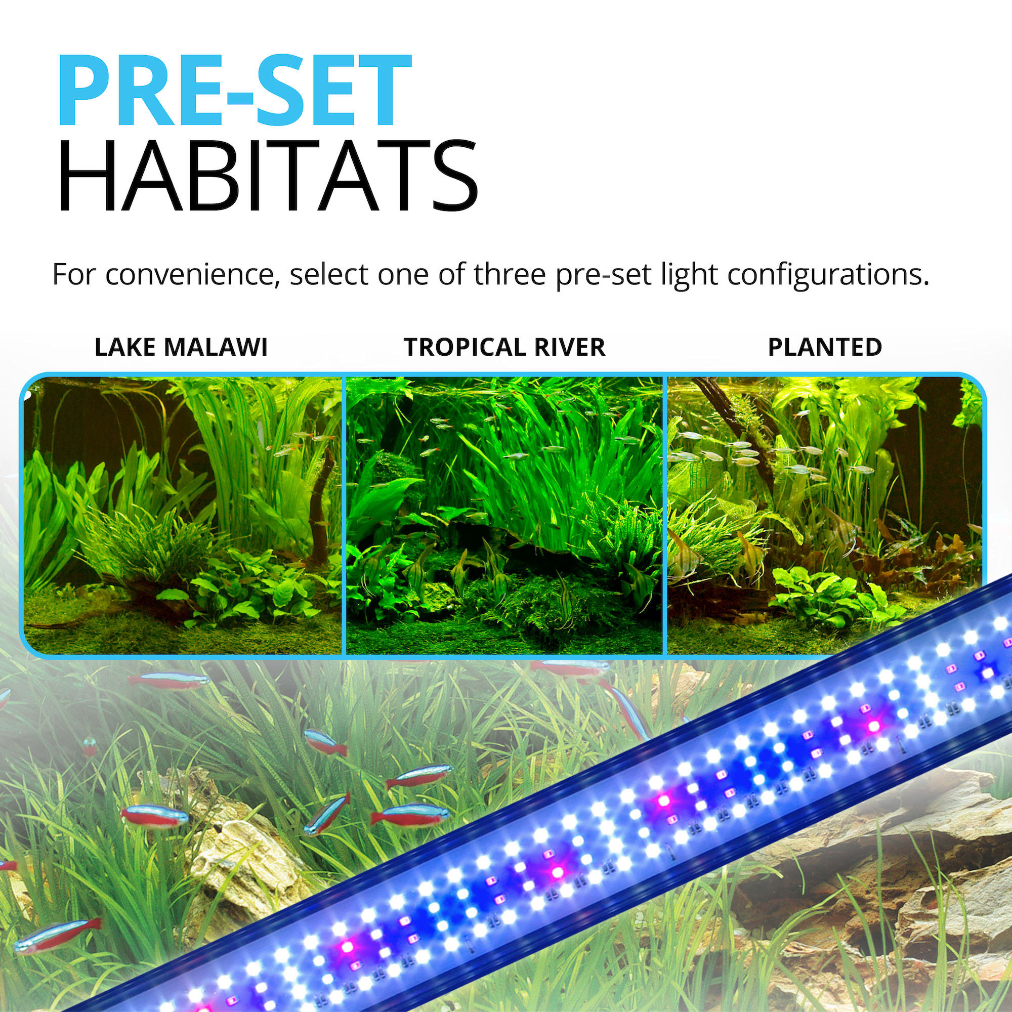 Fluval Fresh and Plant 3.0 LED Light Fixture 32 Watt Petco