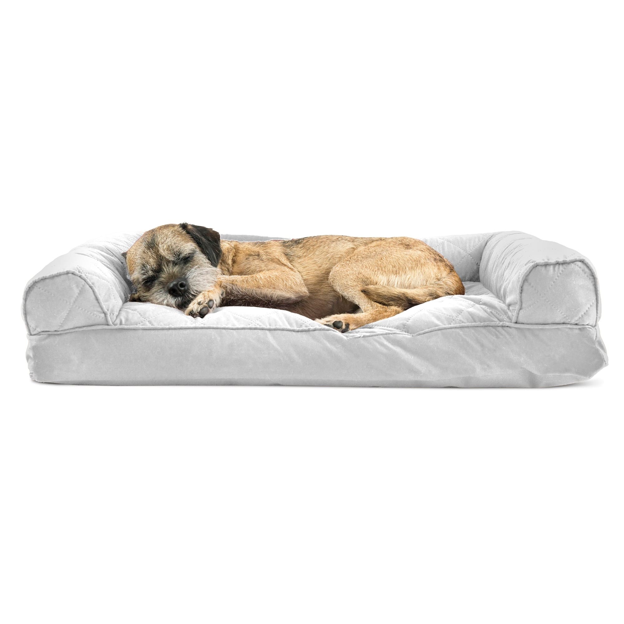 Petco shops dog sofa