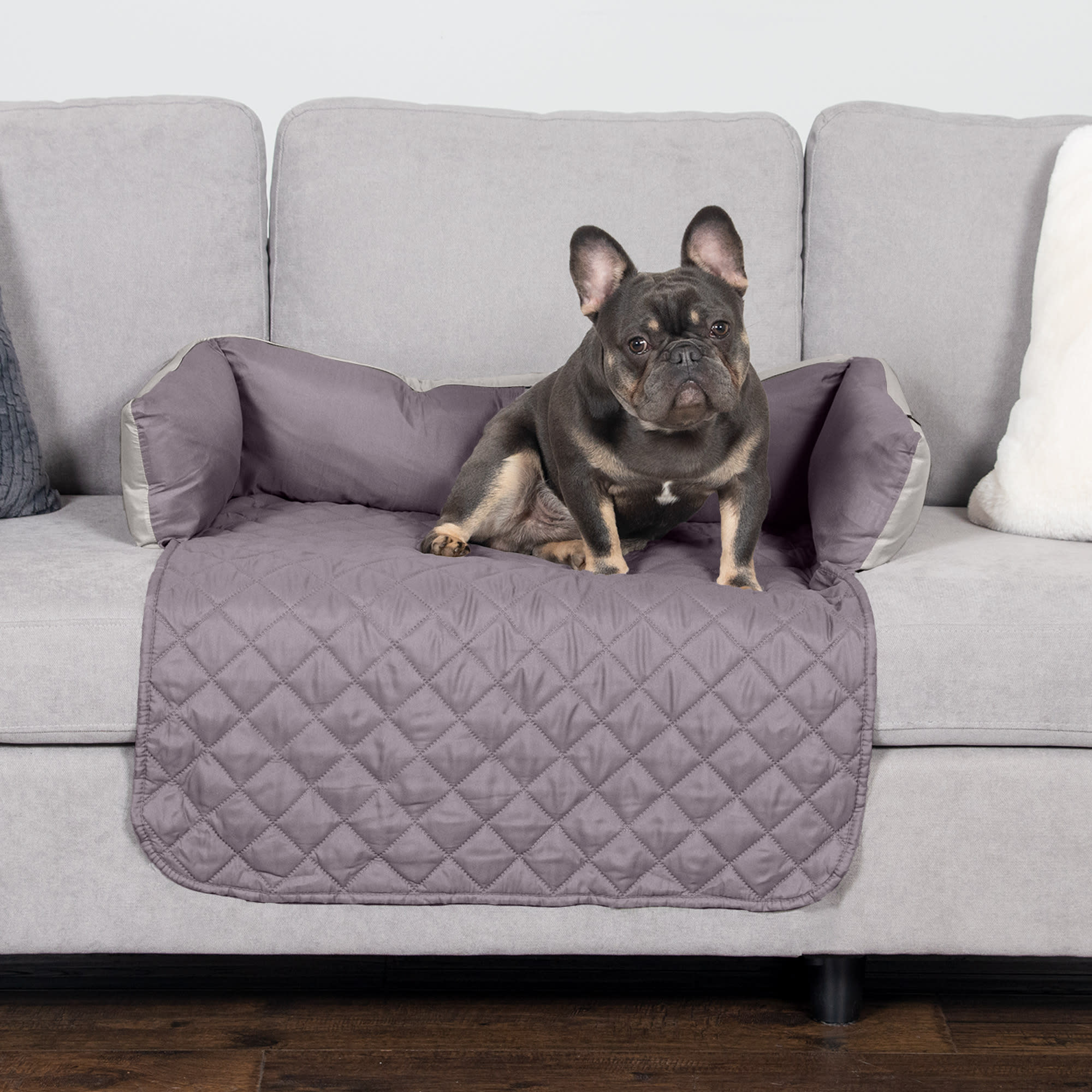 Petco couch clearance covers