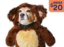 Dog Costumes under $20