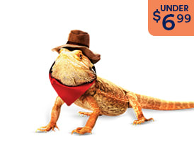 Reptiel Costumes under $6.99