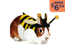 Small Animal Costumes under $6.99