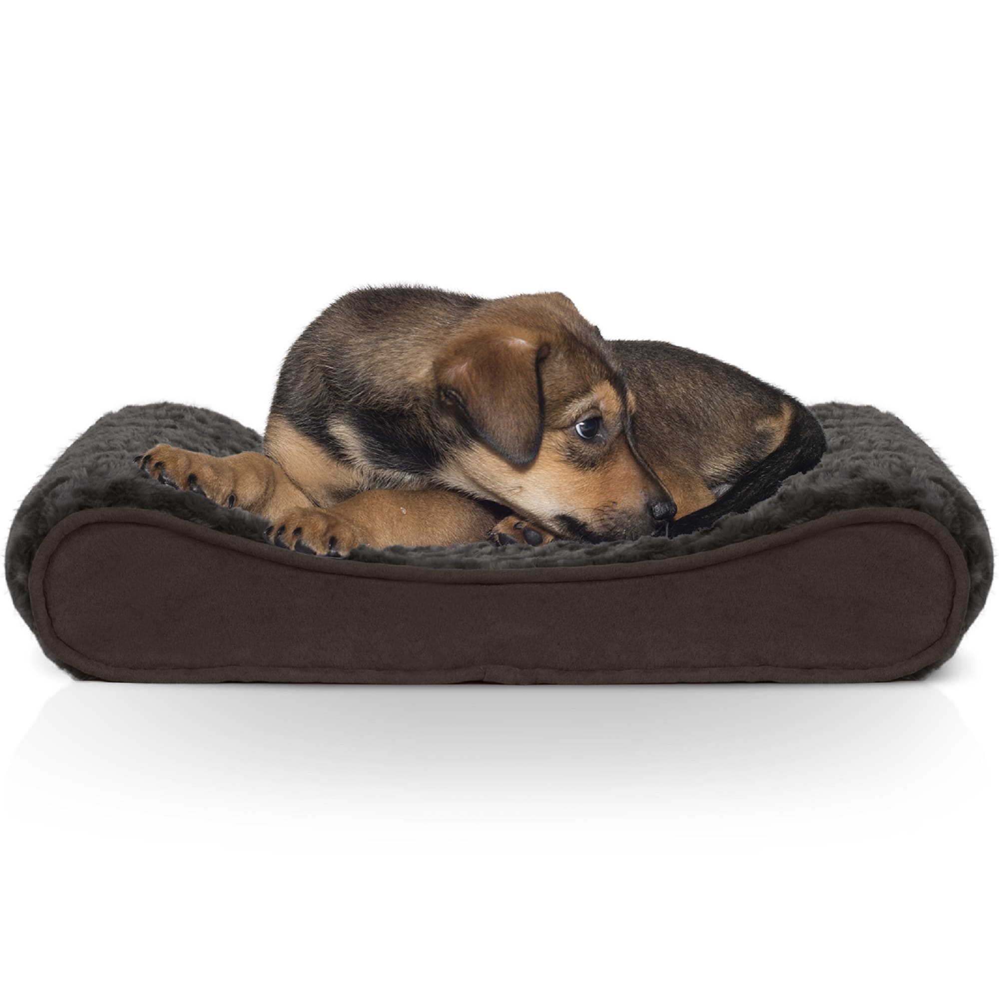 LV Bed for Dogs – Purrfect Puppy