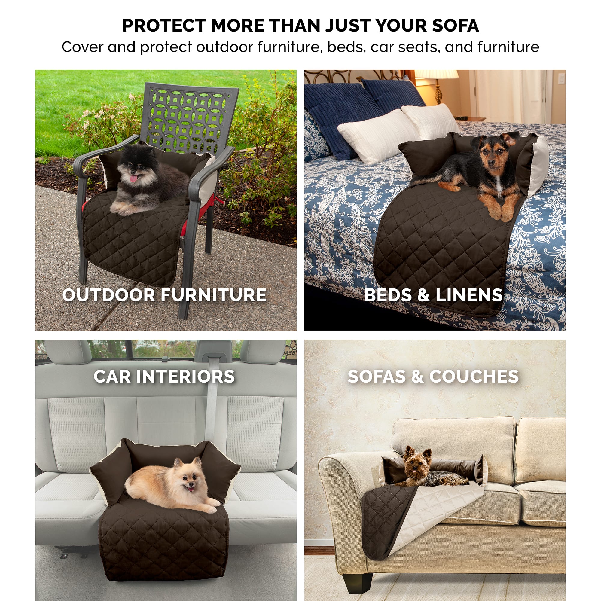 Petco couch outlet covers