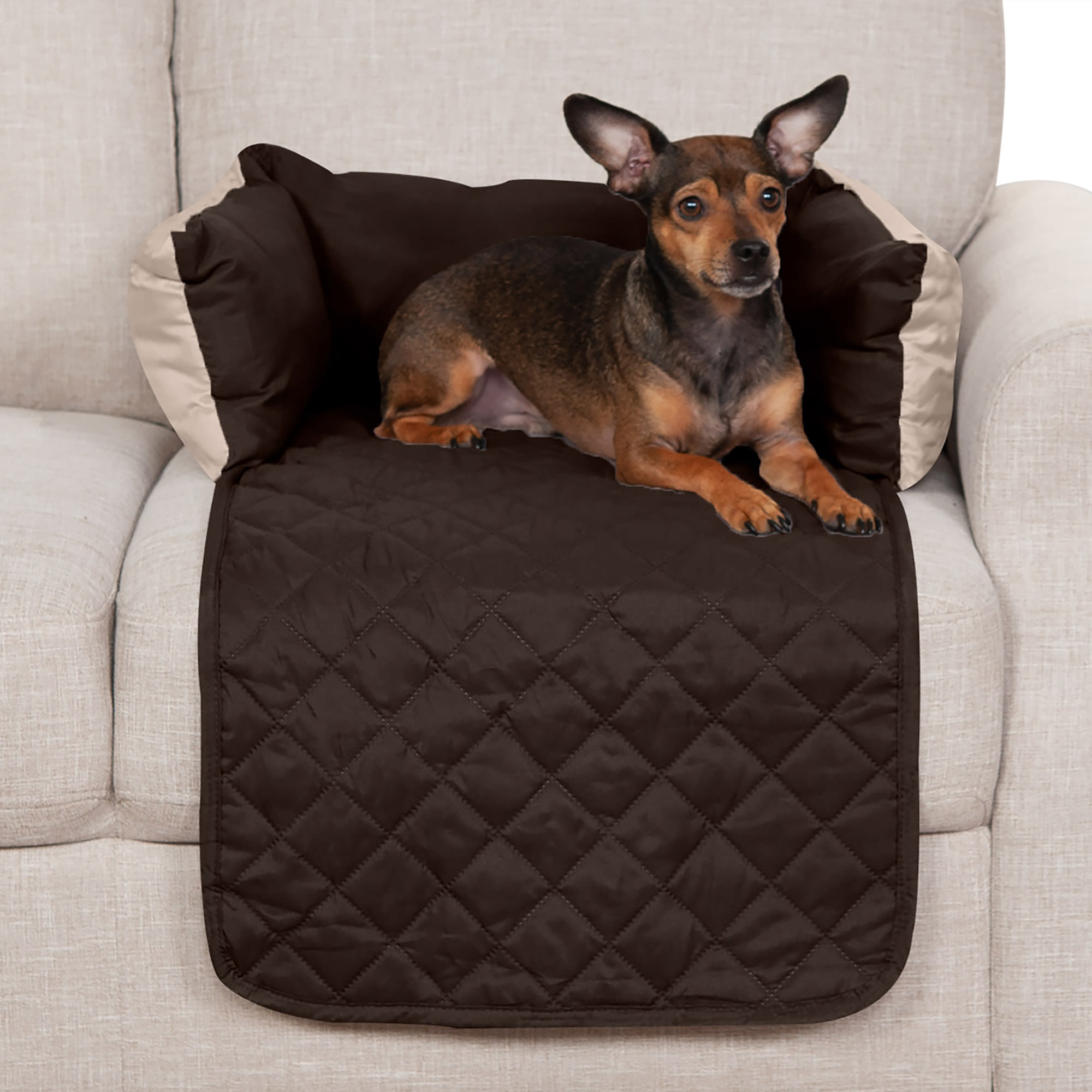 couch cover dog bed