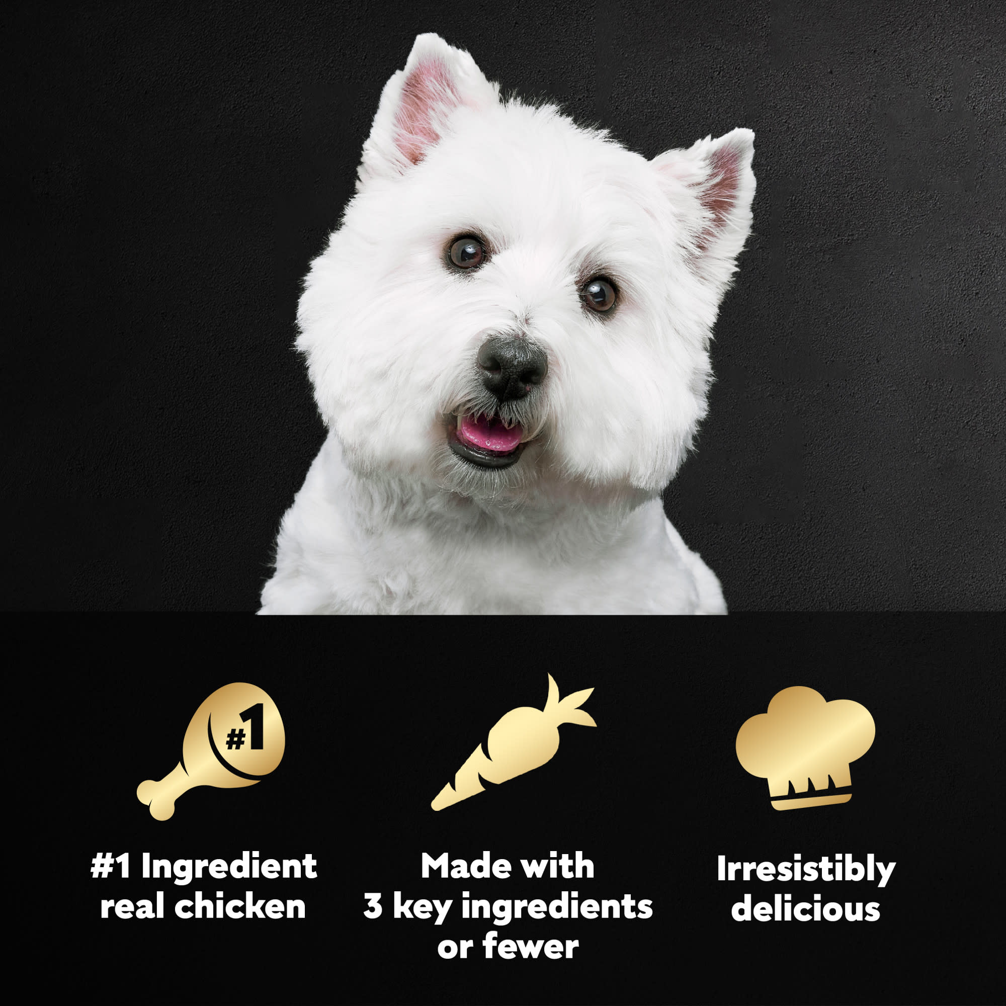 Caesars simply best sale crafted dog food