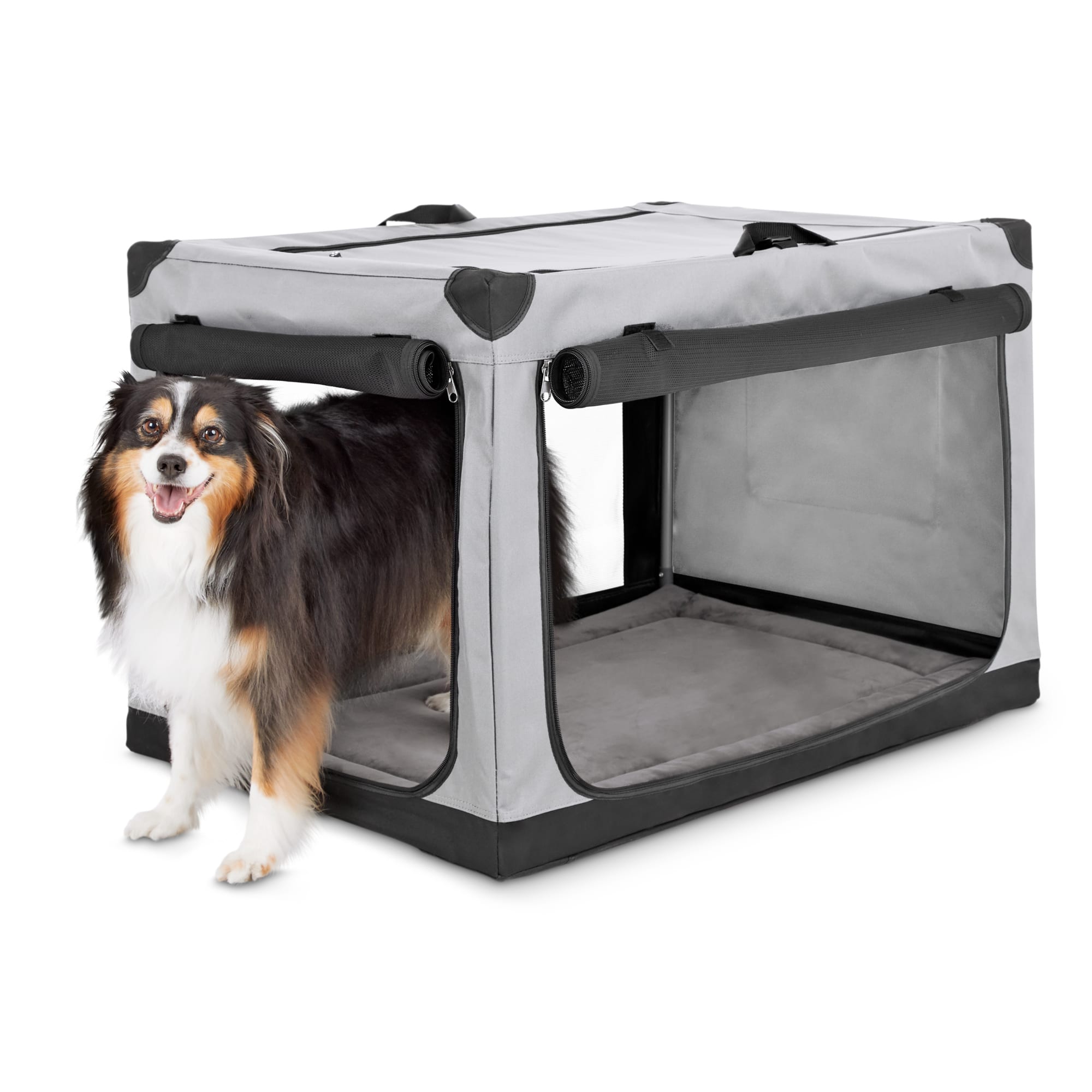 dog crate sizes petco