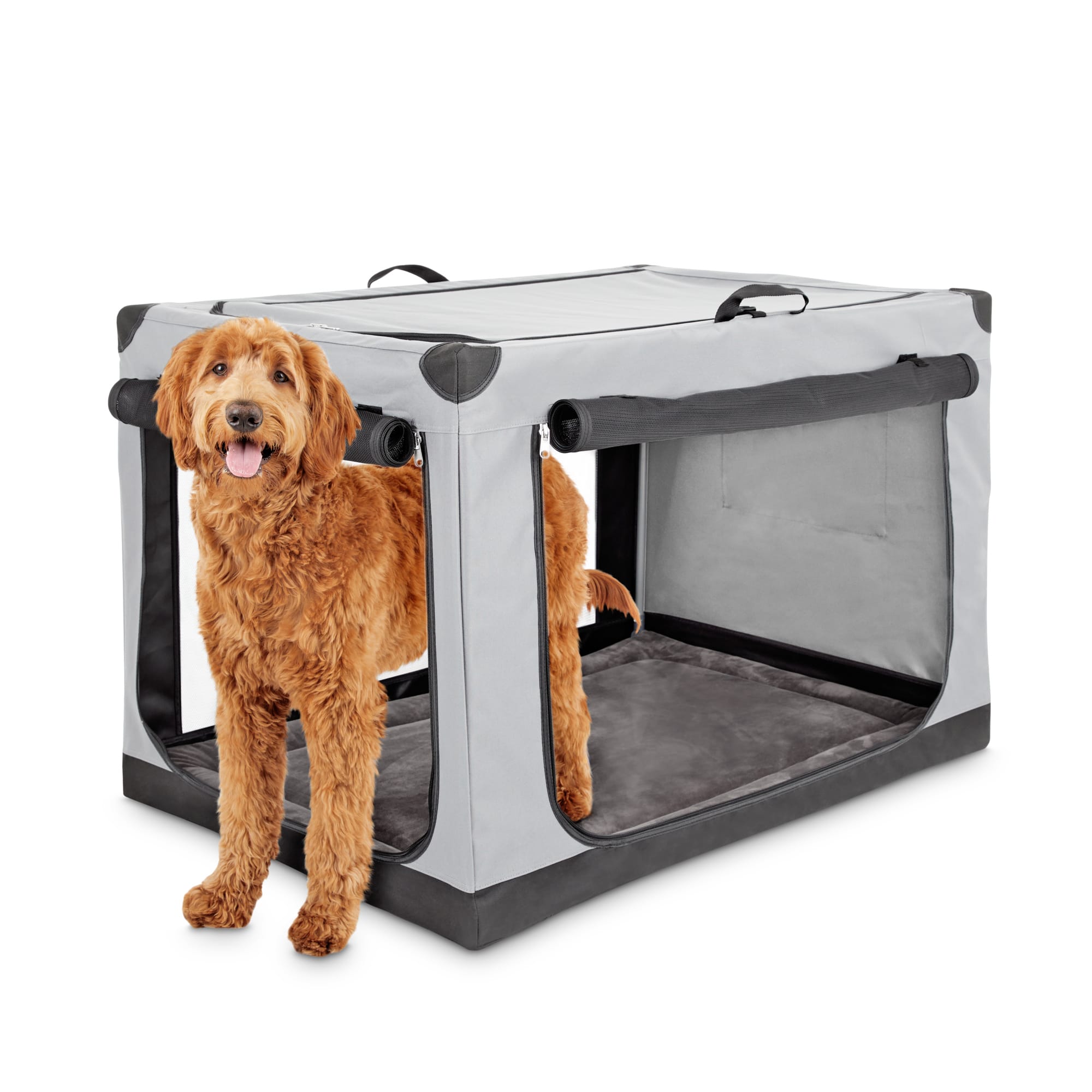 pets at home canvas dog crate