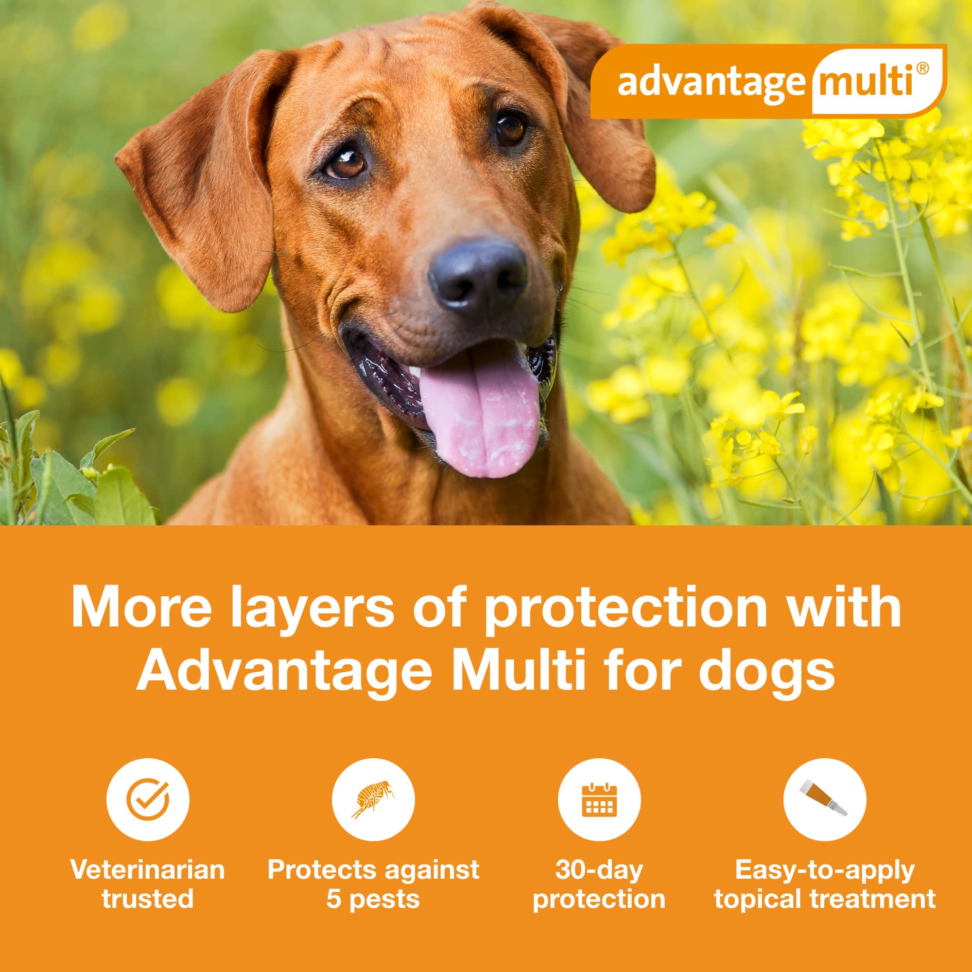 Frontline heartworm best sale advantage multi