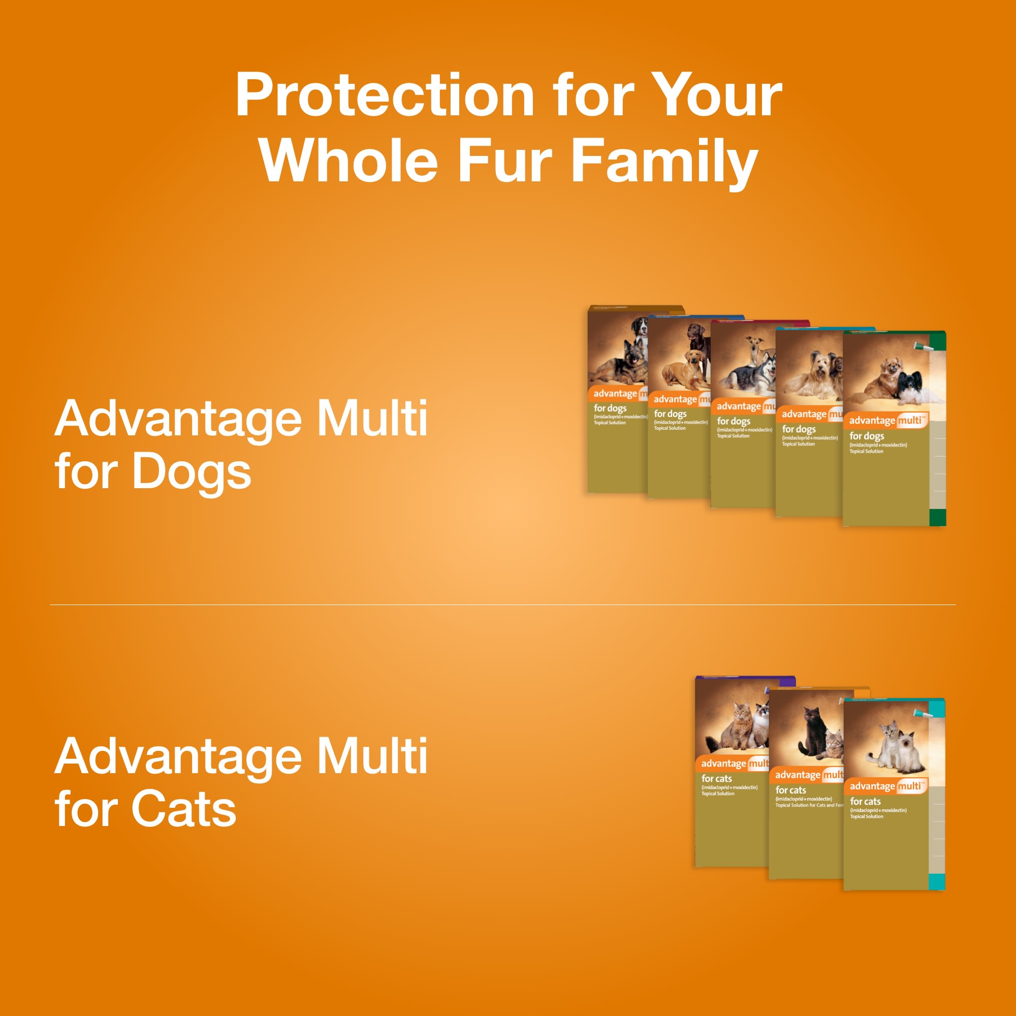 Advantage Multi Topical Flea Heartworm Treatment for Cats 2 5 lbs