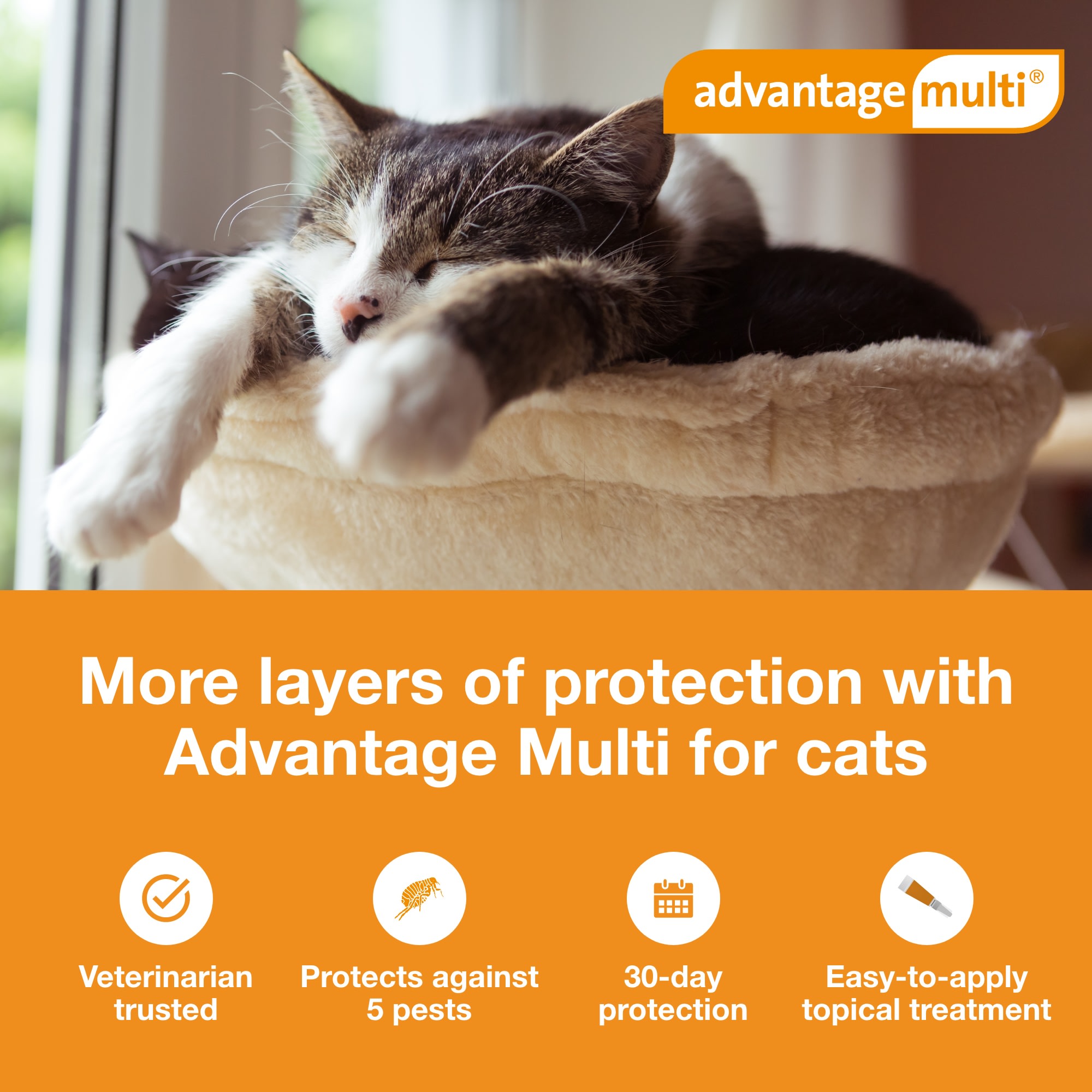 Advantage multi best sale 9 cats