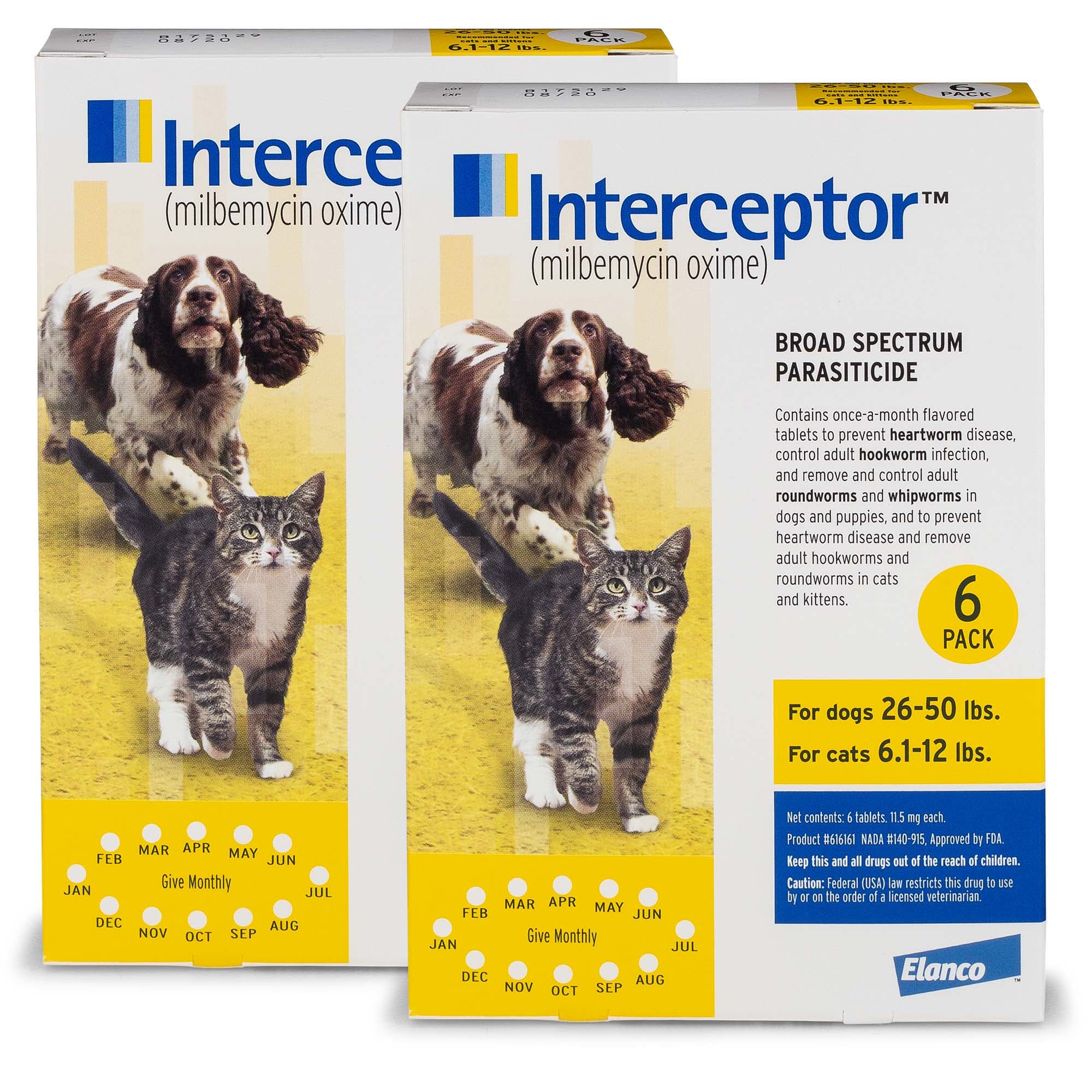 heartworm prevention for dogs interceptor