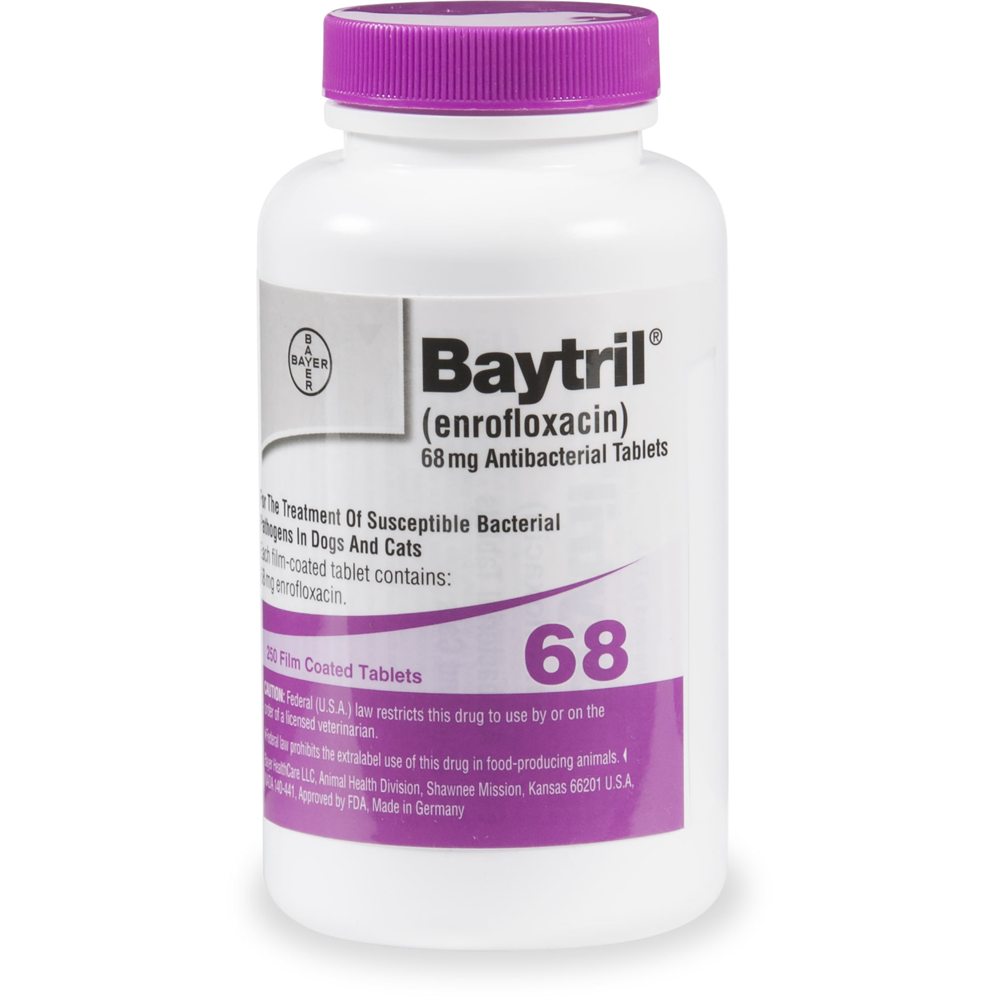 Baytril Dosage For Cats Uti