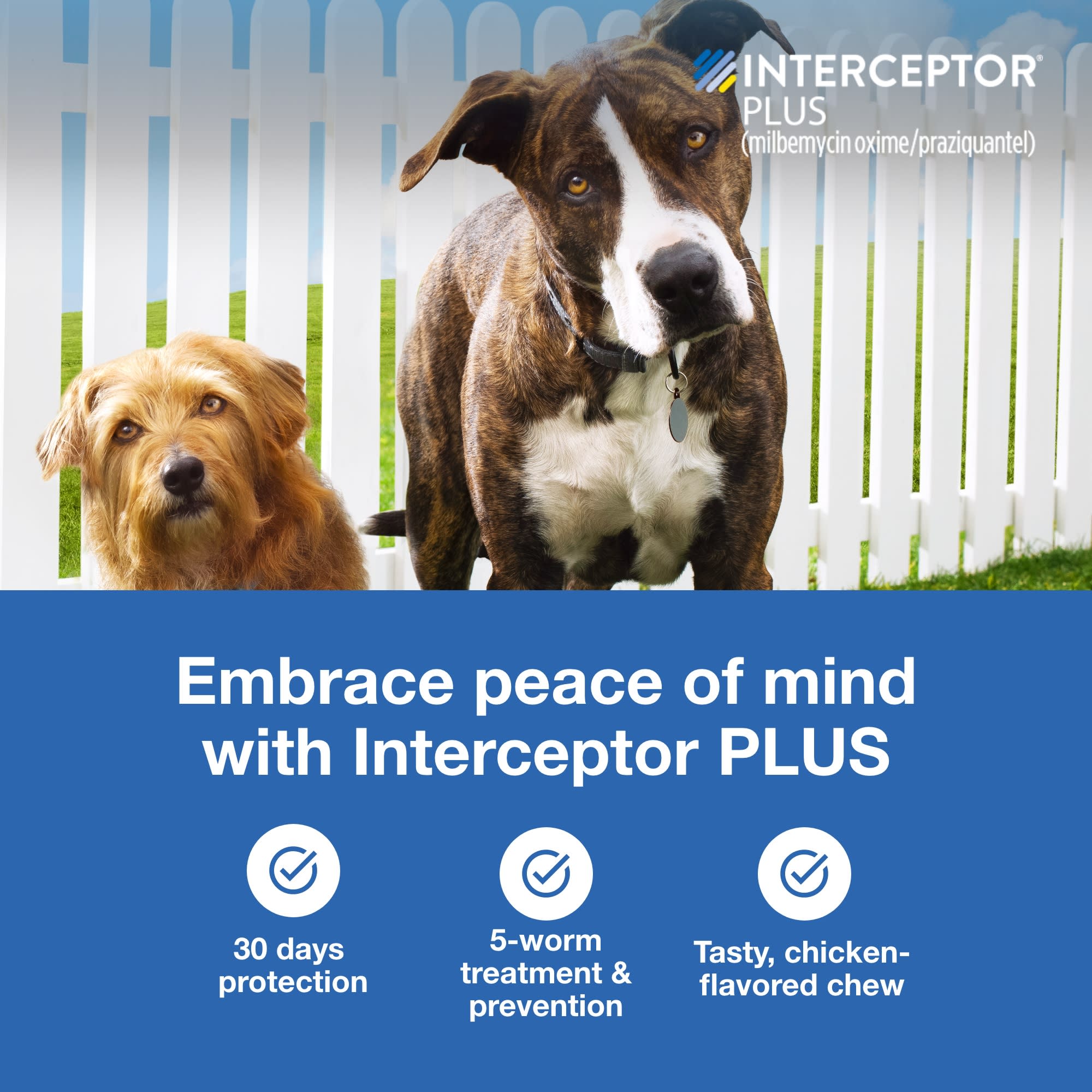 Interceptor plus hot sale petco