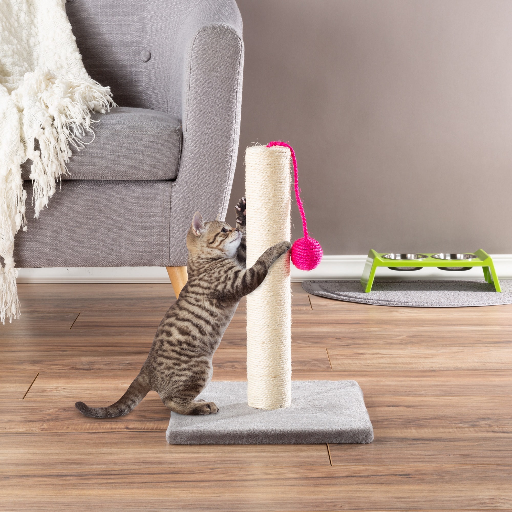 petco cat scratcher