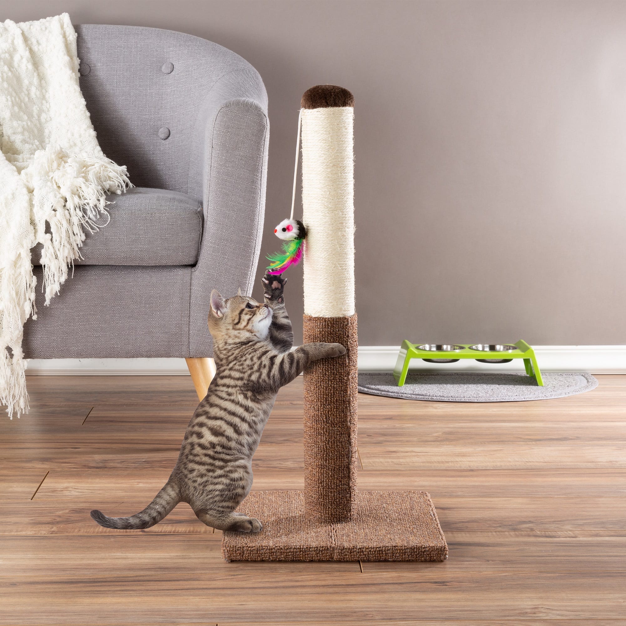 How To Build An Easy DIY Cat Scratching Post And Cat Tree Daily Paws ...