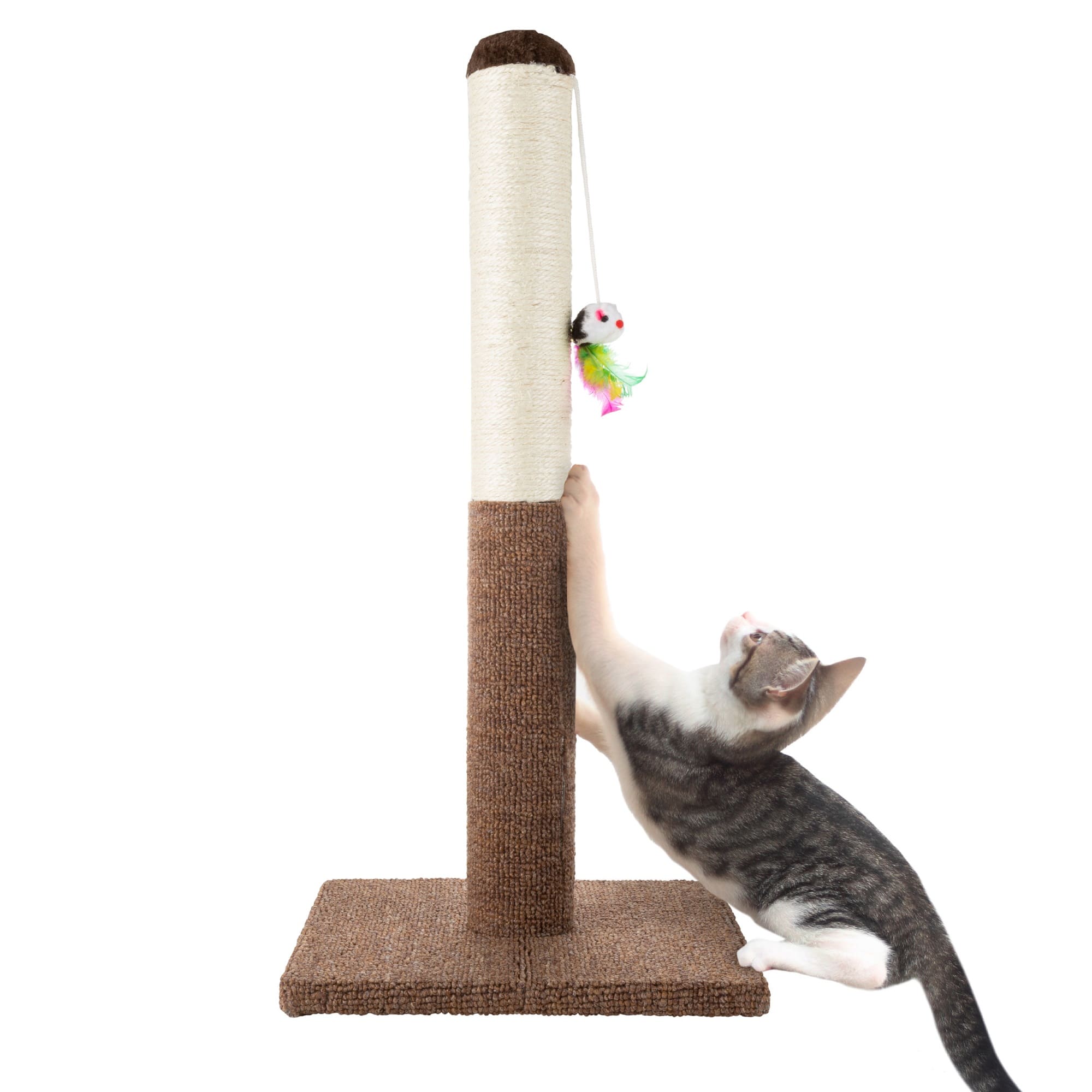 Petco ultimate 2025 scratching post