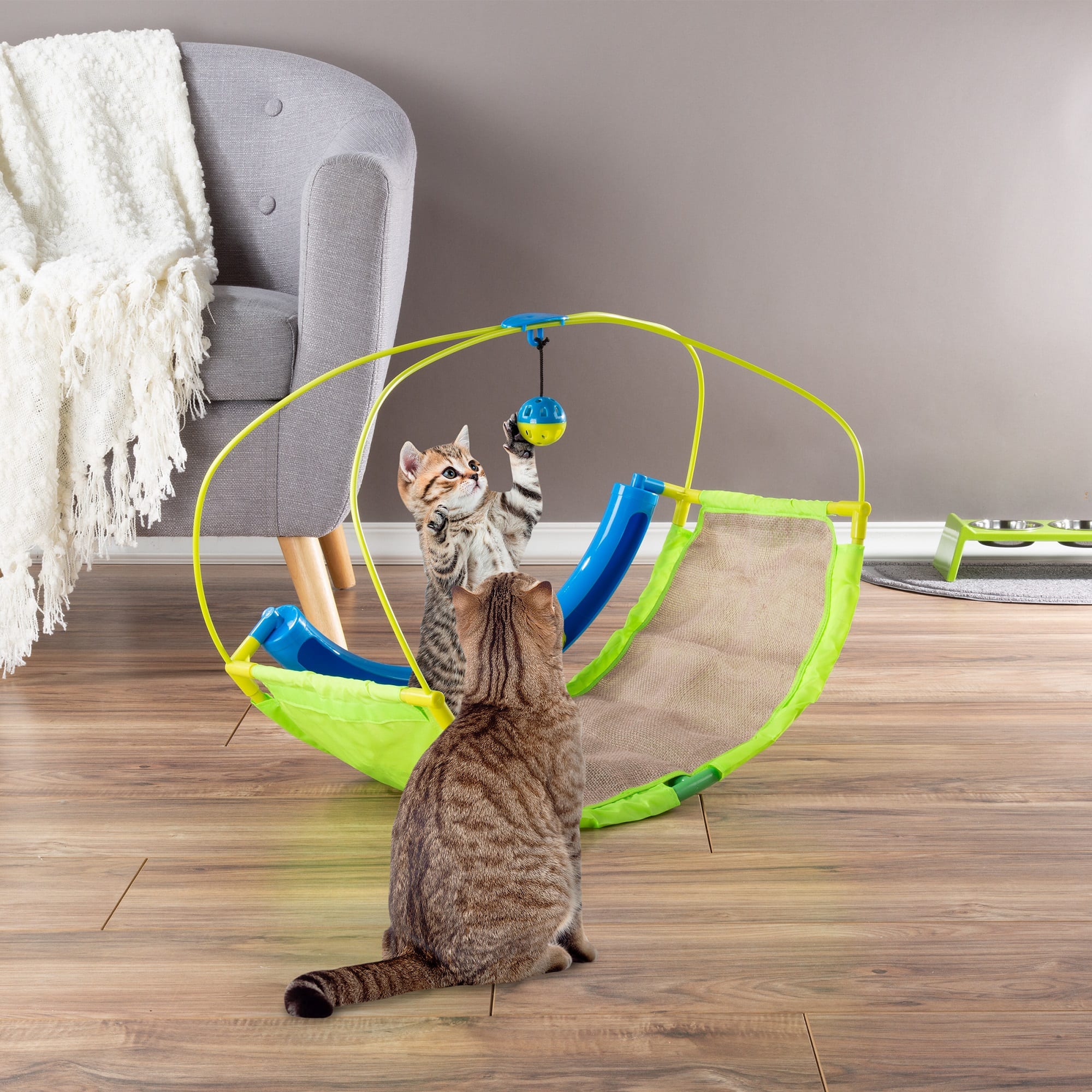 petco cat toys