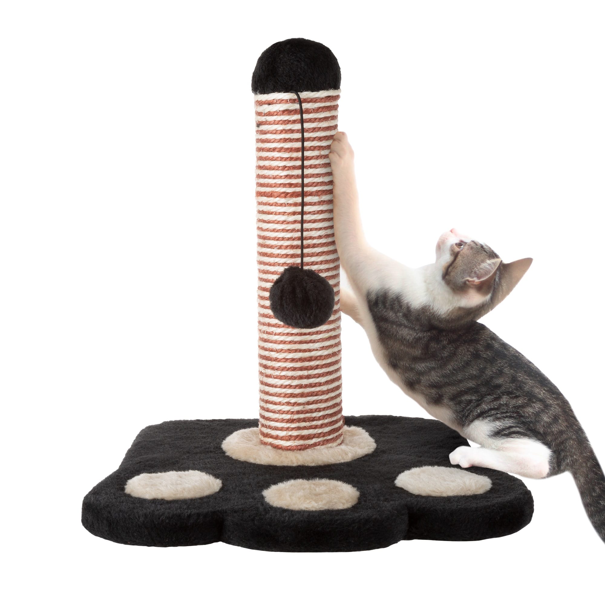 15 Inch Hanging Toy Ball for Interactive Play Scratcher for Cats and Kittens with Sisal Rope and Paw Shaped Base PETMAKER Cat Scratching Post 