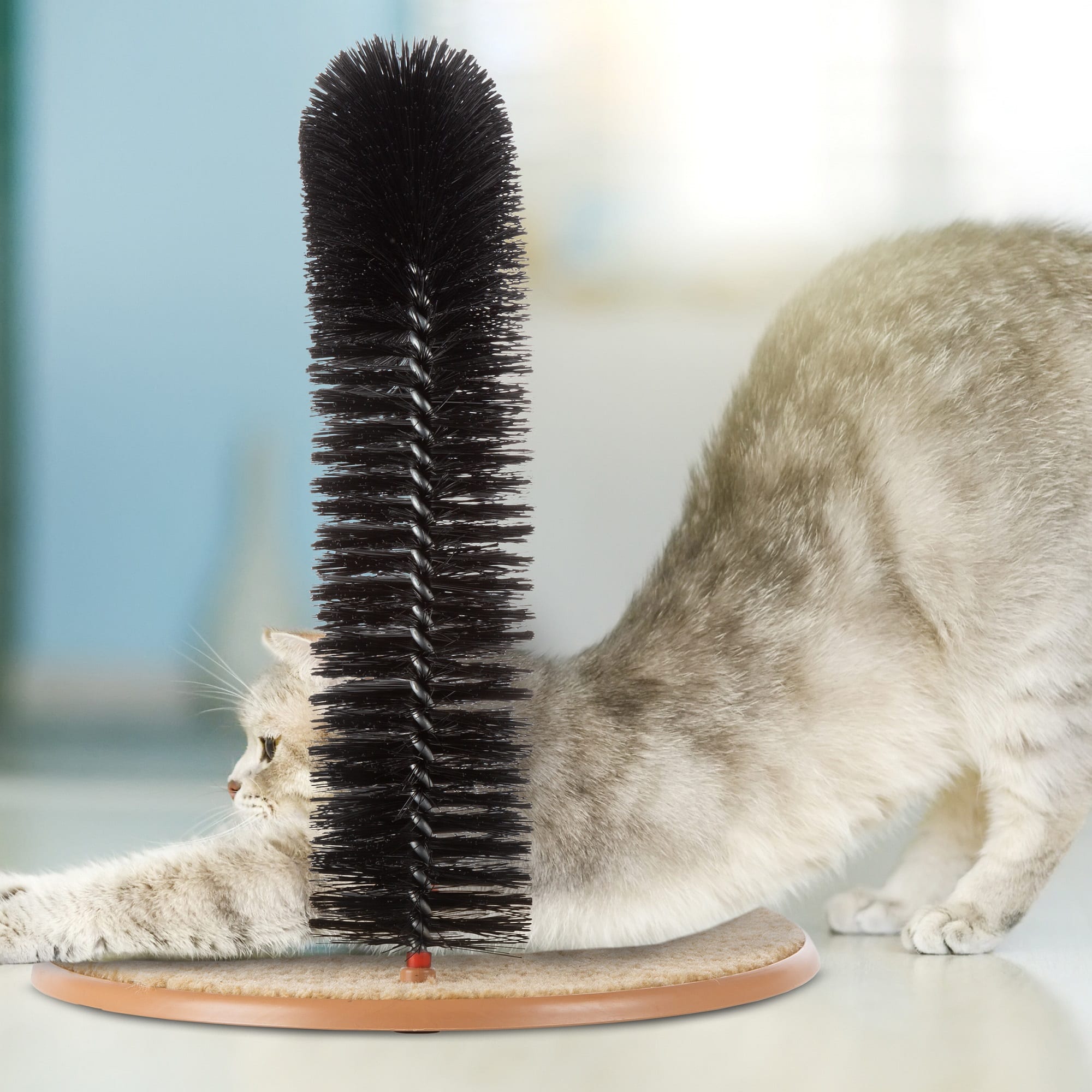 Cat grooming arch hotsell