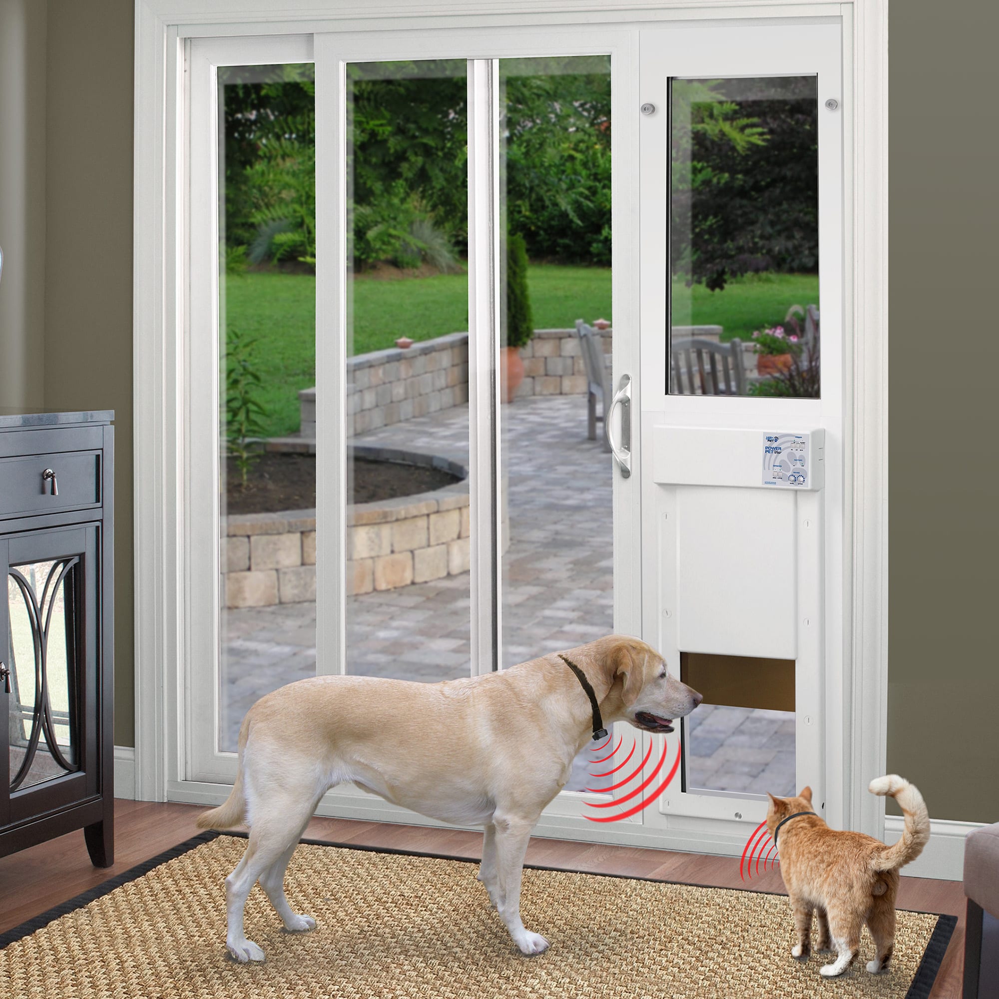 Doggy door hotsell with electronic collar