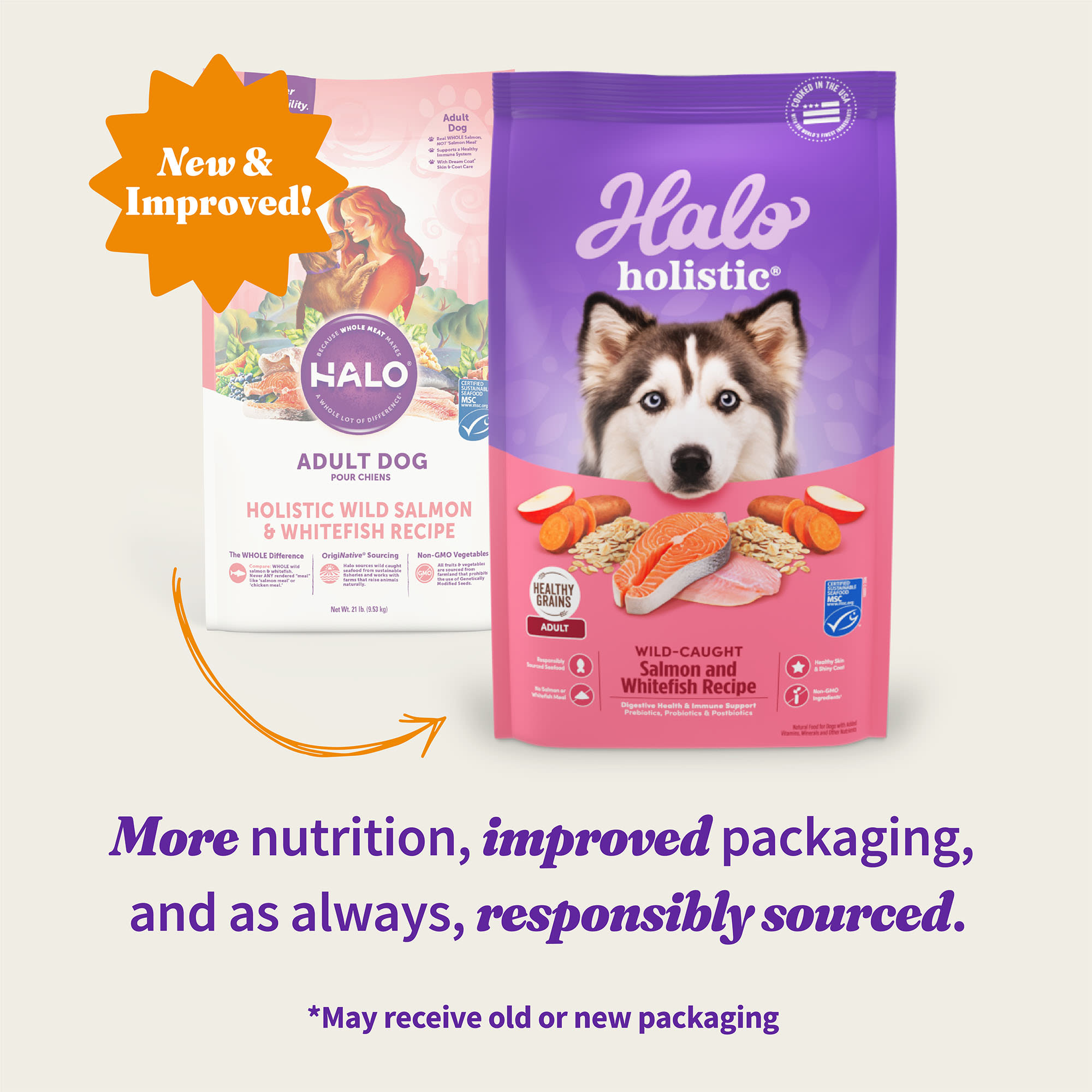 Halo Holistic Complete Digestive Health Wild caught Salmon and Whitefish Recipe Adult Dry Dog Food 21 lbs